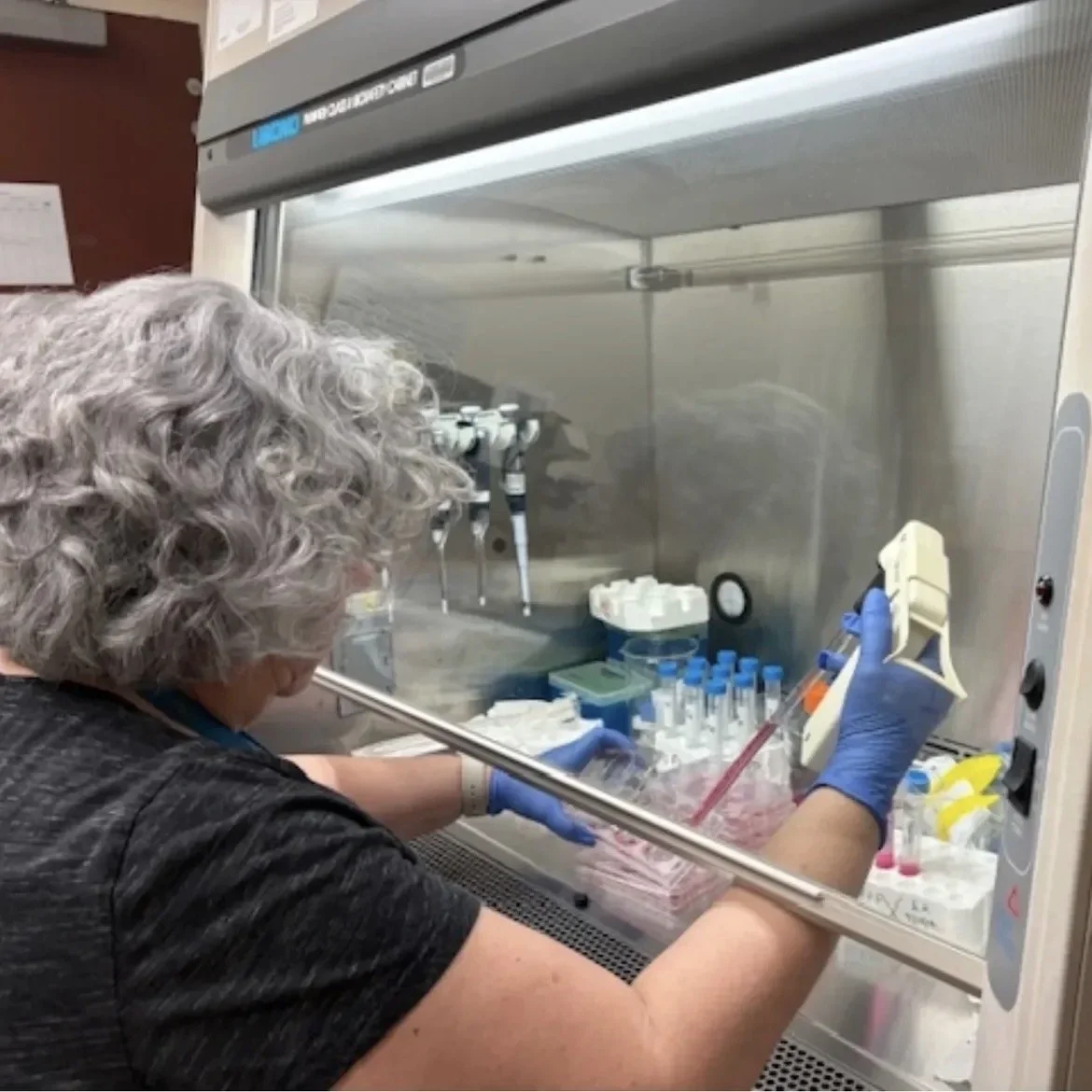 A scientist with curly gray hair working in a laboratory fume hood, handling test tubes and laboratory equipment.