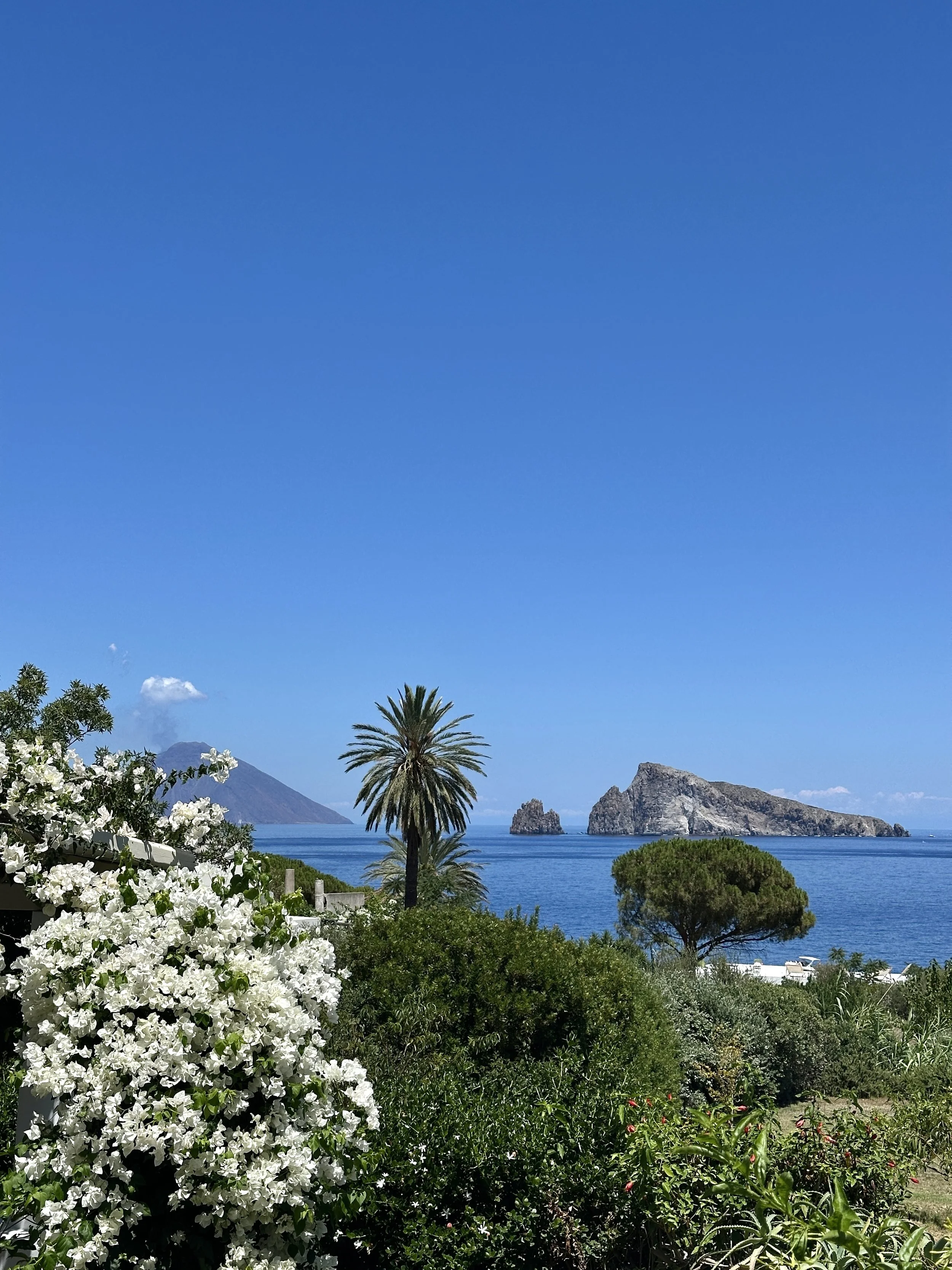 Island Hop Adventure