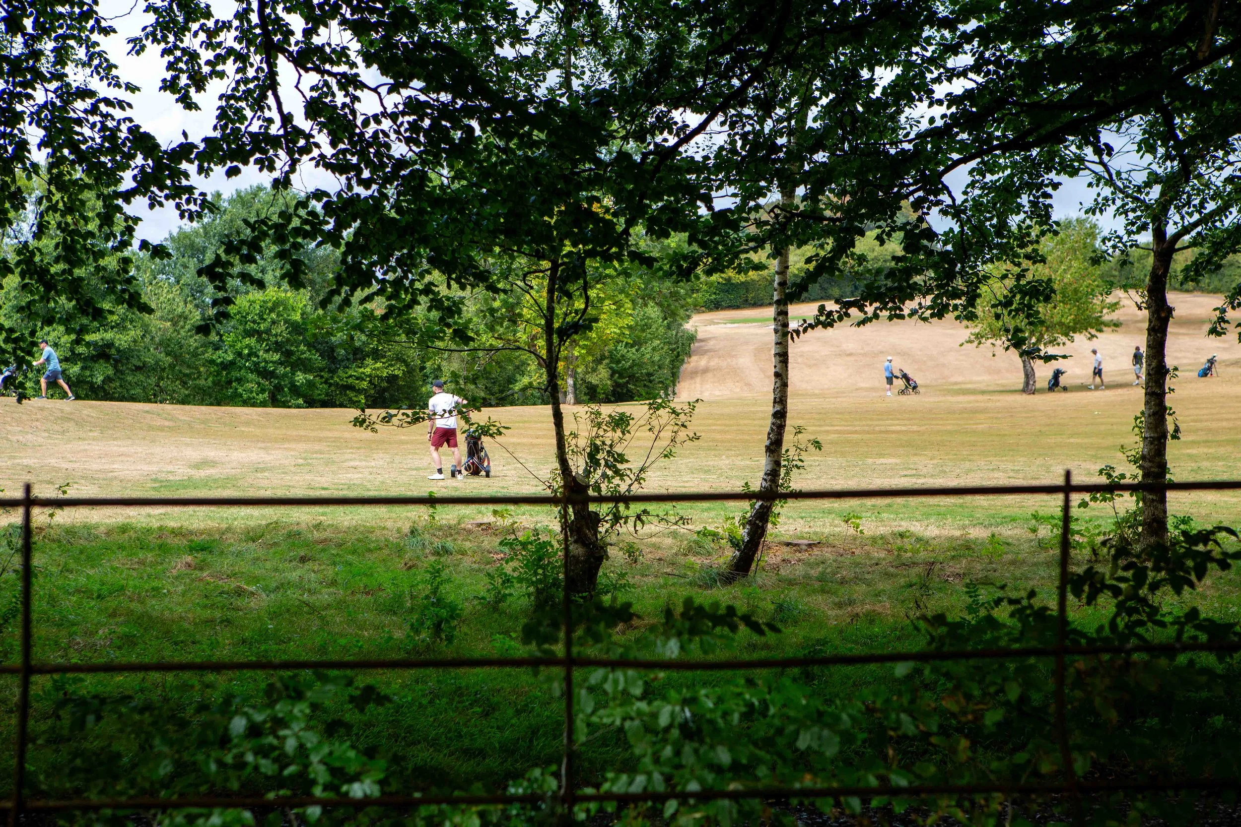 Bridgend Skip Hire-22.jpg