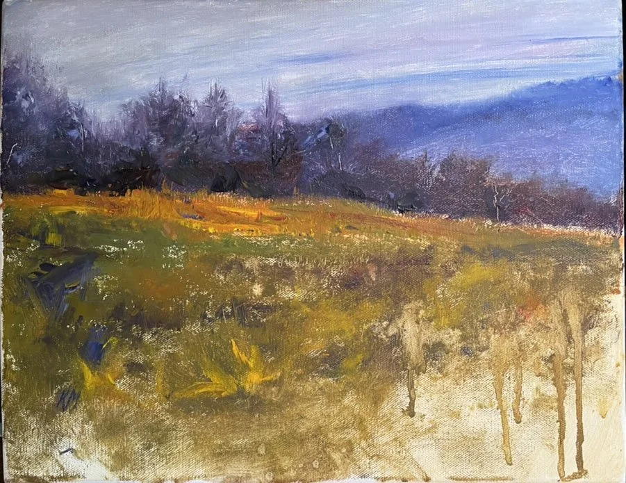 "Untitled", 12" x 16", Oil on Board. Plein Air of field in Waitsfield, VT.

