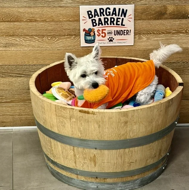 BARGAIN BARREL - BIG FUN.  LITTLE PRICES.
