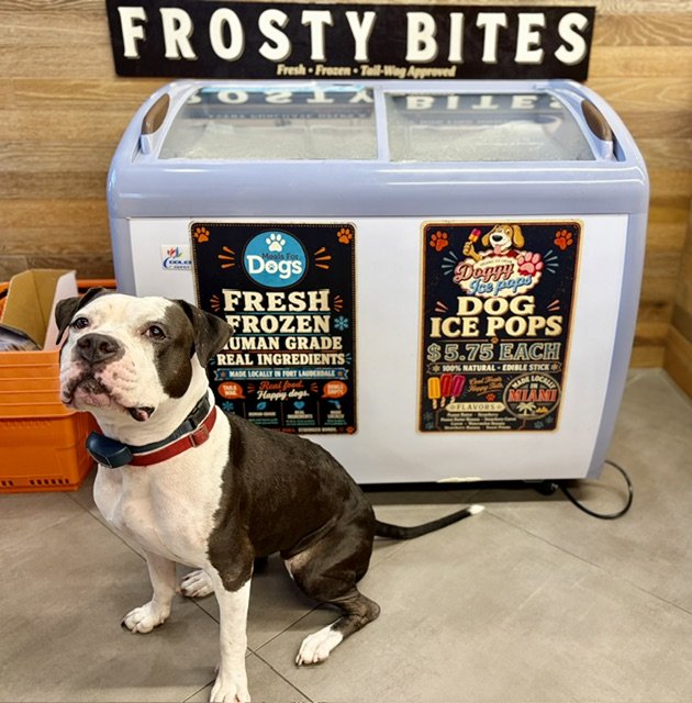 FROSTY BITES - FROZEN FOOD & TREATS