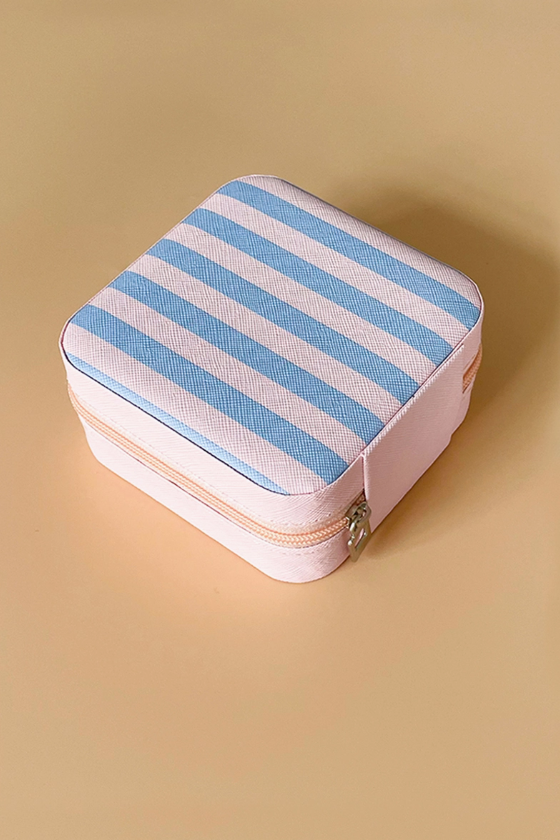 blue striped organizaer.png