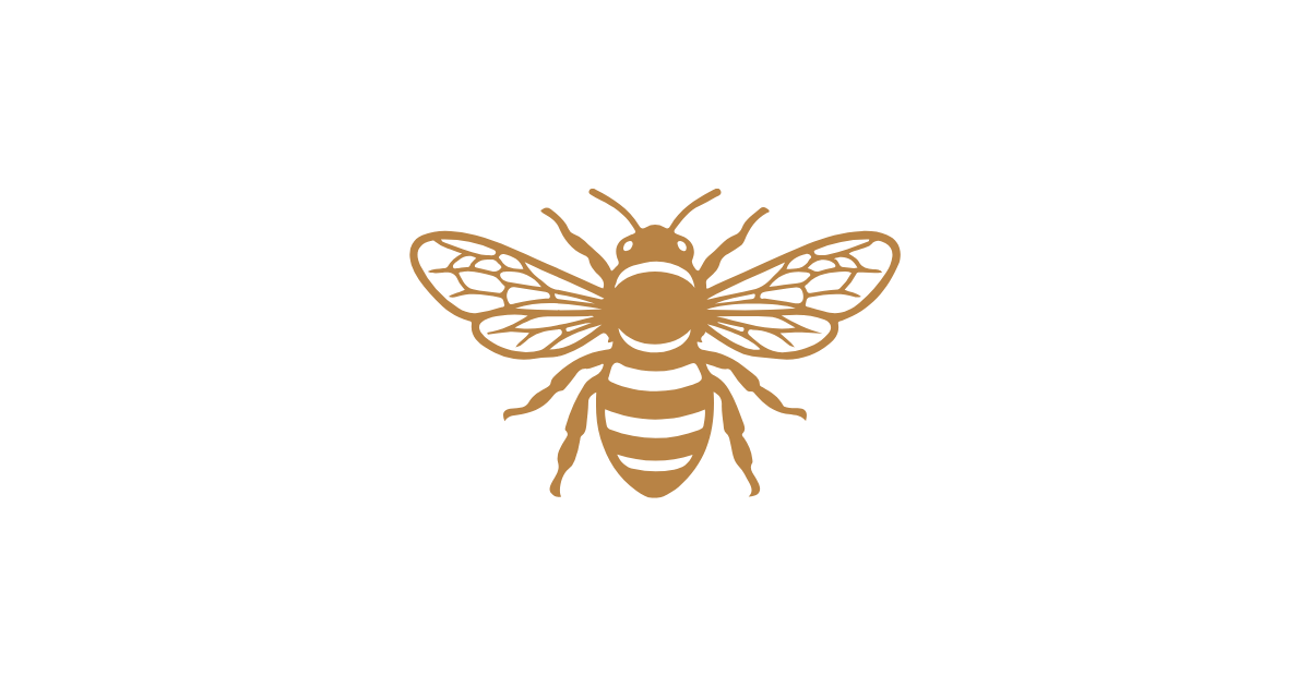 Illustration of a honey bee with brown wings and body on a black background