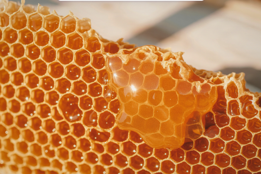 Close-up of honeycomb with dripping honey.