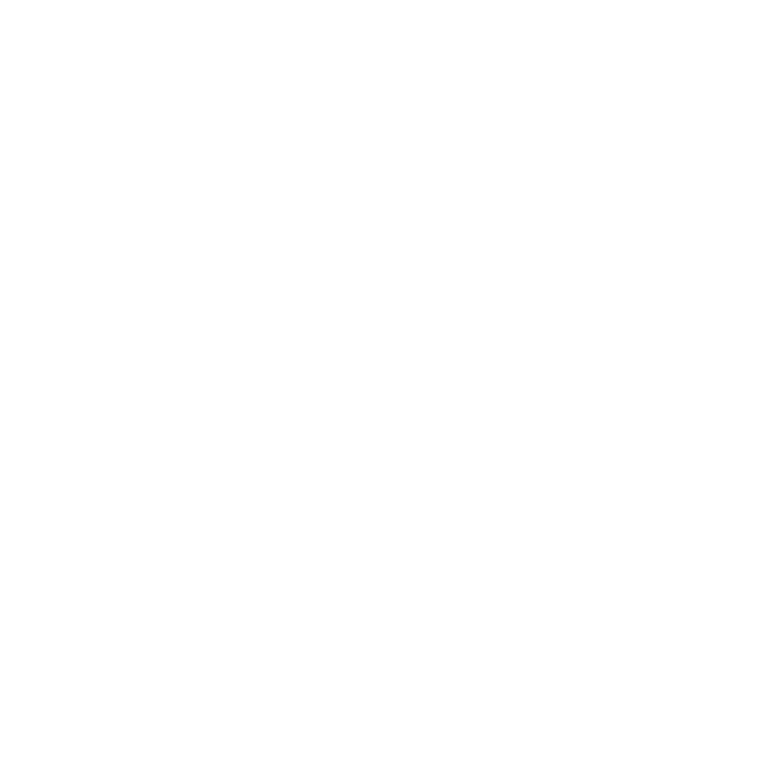 Black and white circular logo featuring a female figure with flowing hair, a crown with a star on top, and stylized flames or wings around the figure.
