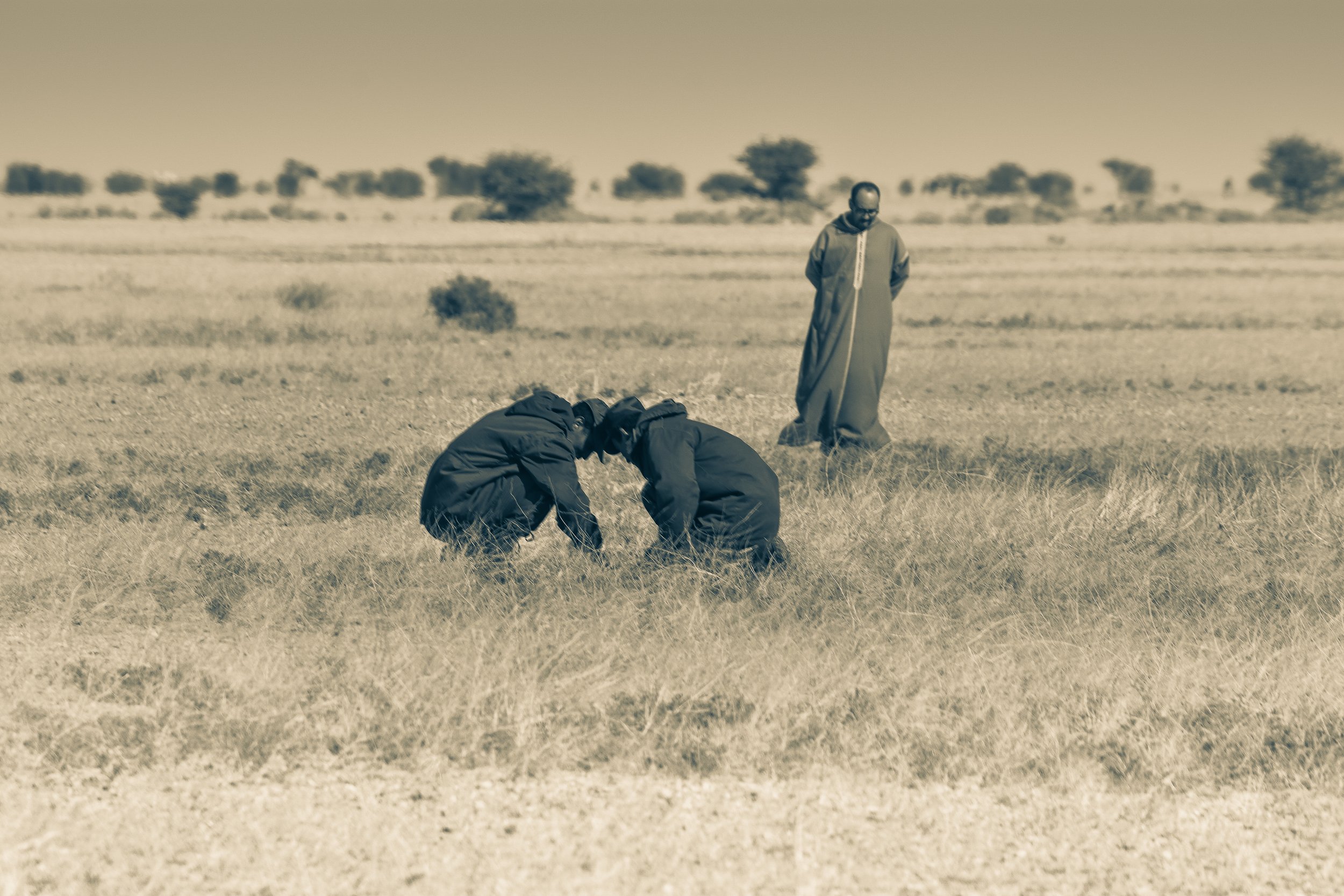 Deserto_2.jpg