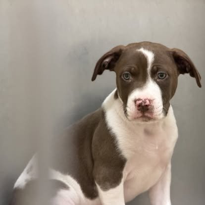 648077940_949043580782646_2509800634849558446_n.jpg