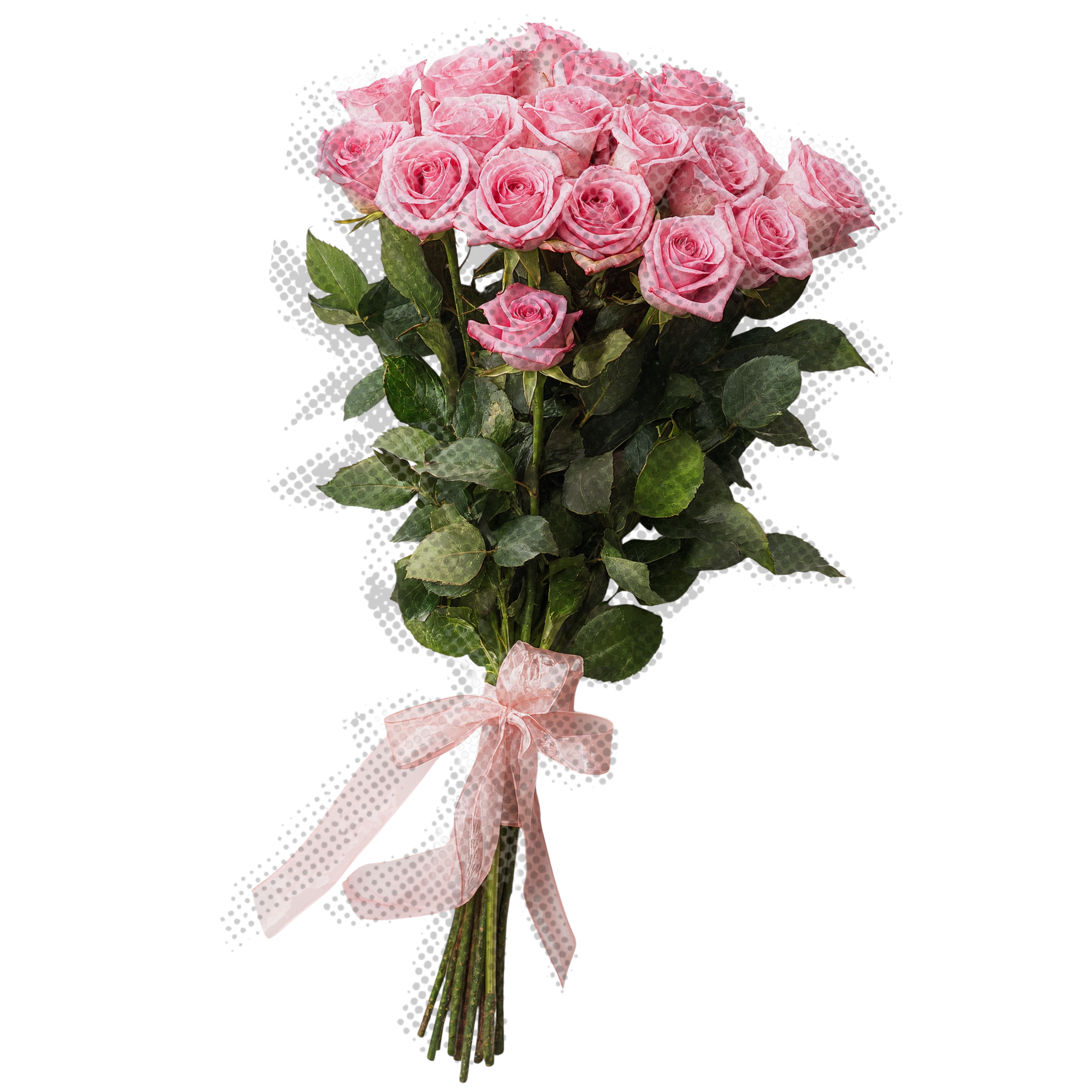 A bouquet of pink roses wrapped in a pink polka dot ribbon.