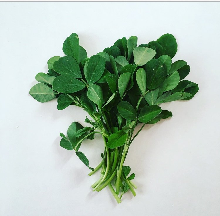 Why Fenugreek is a Powerful Natural Feed Additive