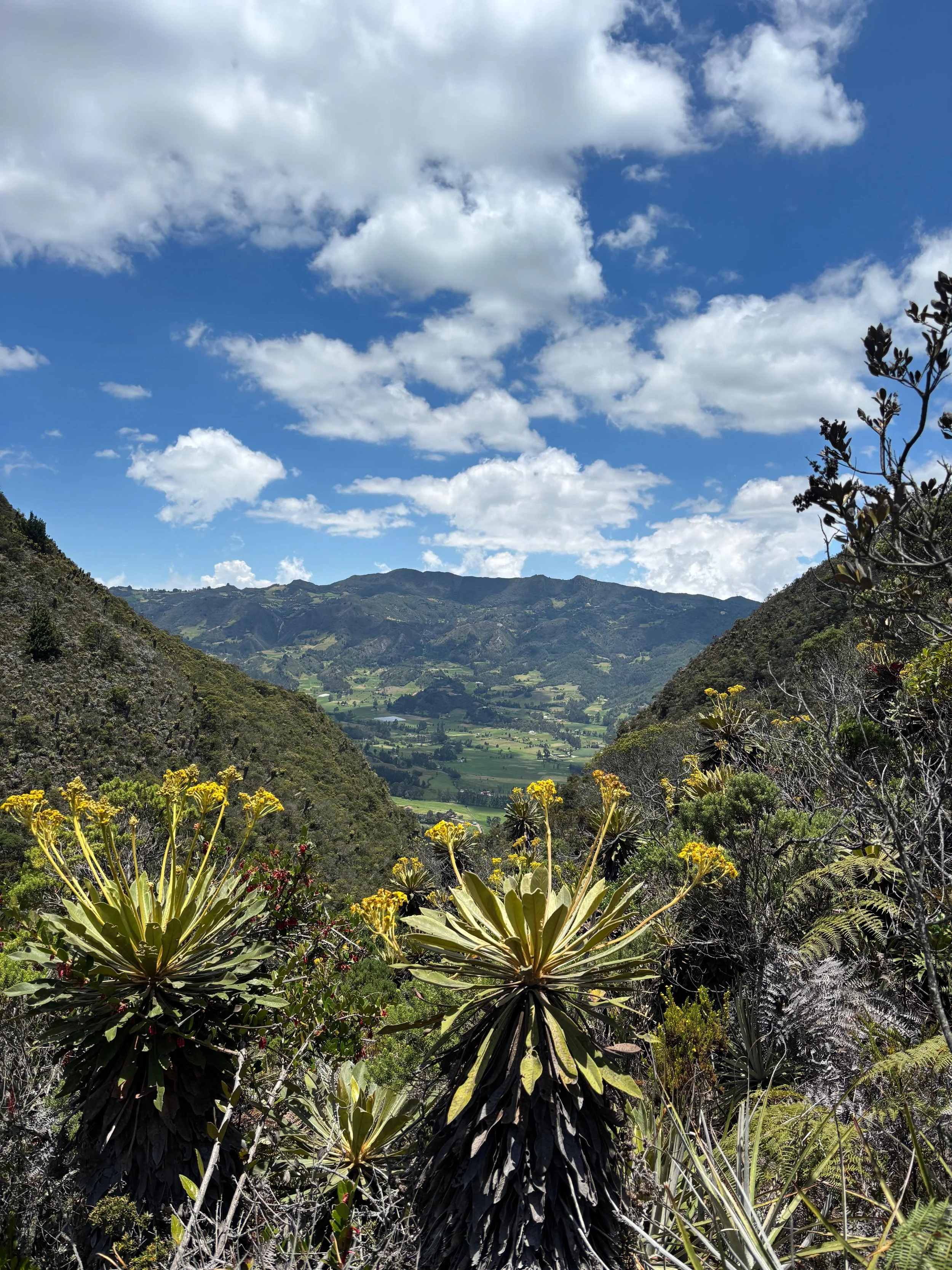 A scenic landscape of a valley with green fields and mountains under a blue sky in the Colombian countryside