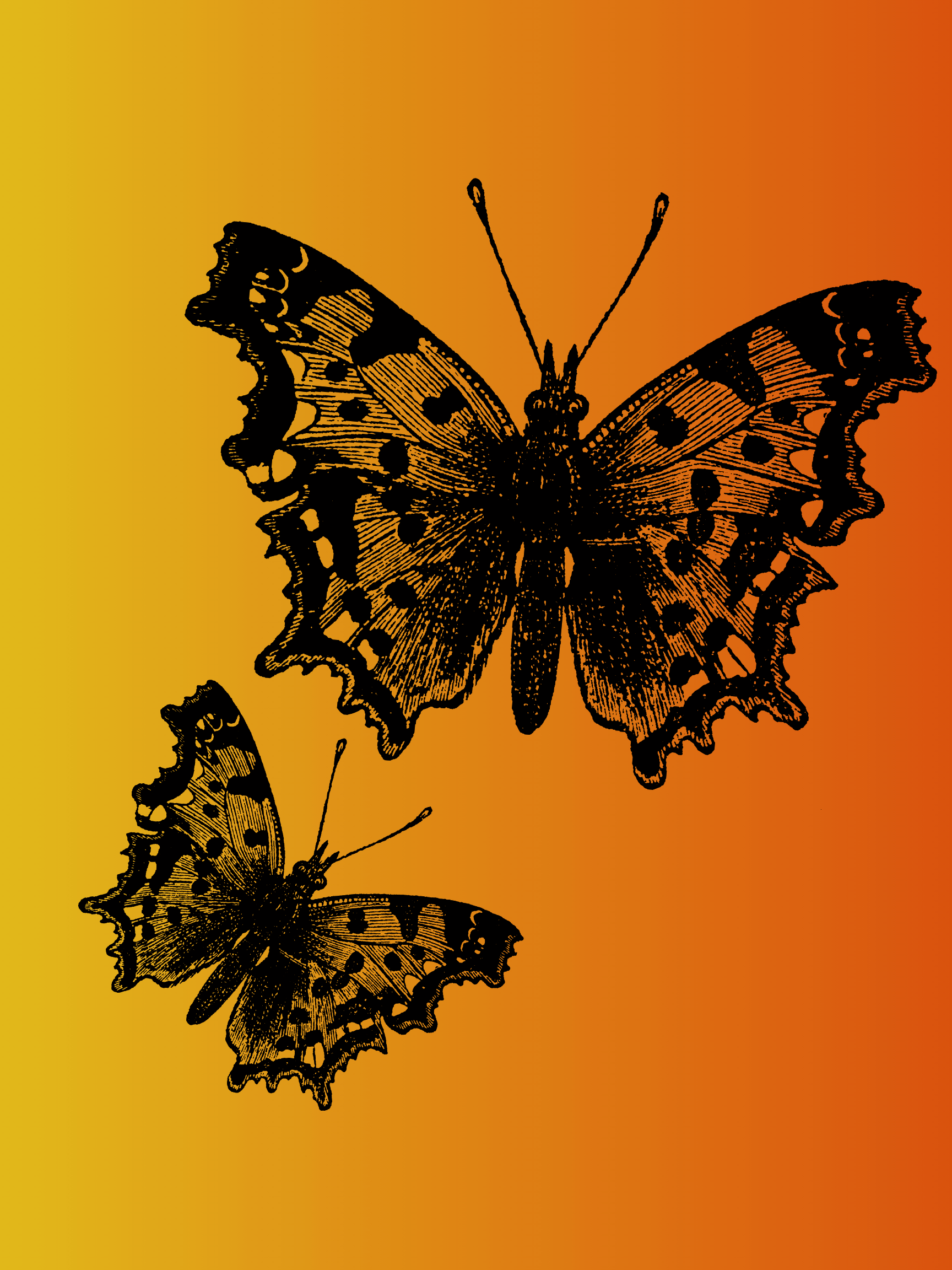 Black silhouette of three butterflies on an orange gradient background.