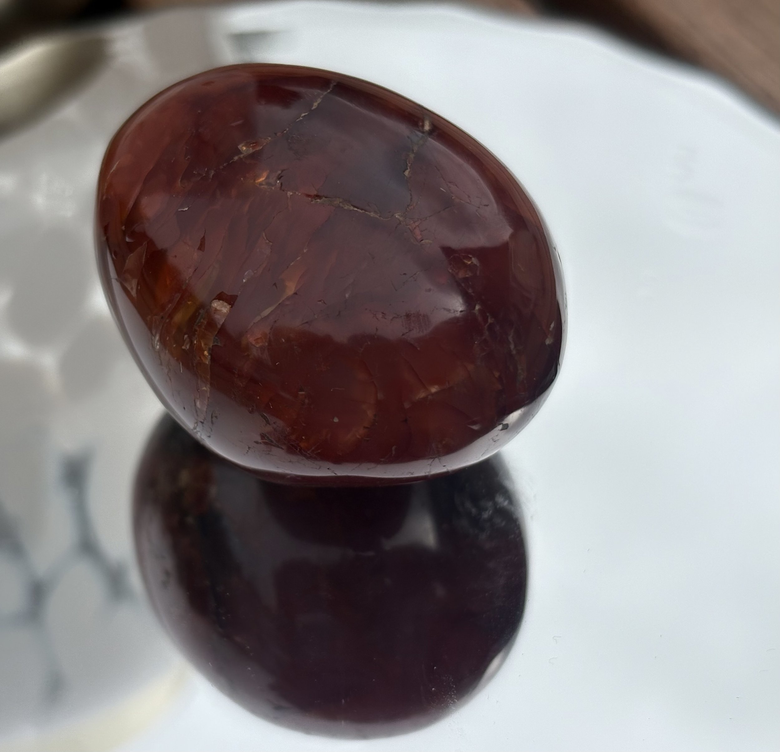 Carnelian Palm
