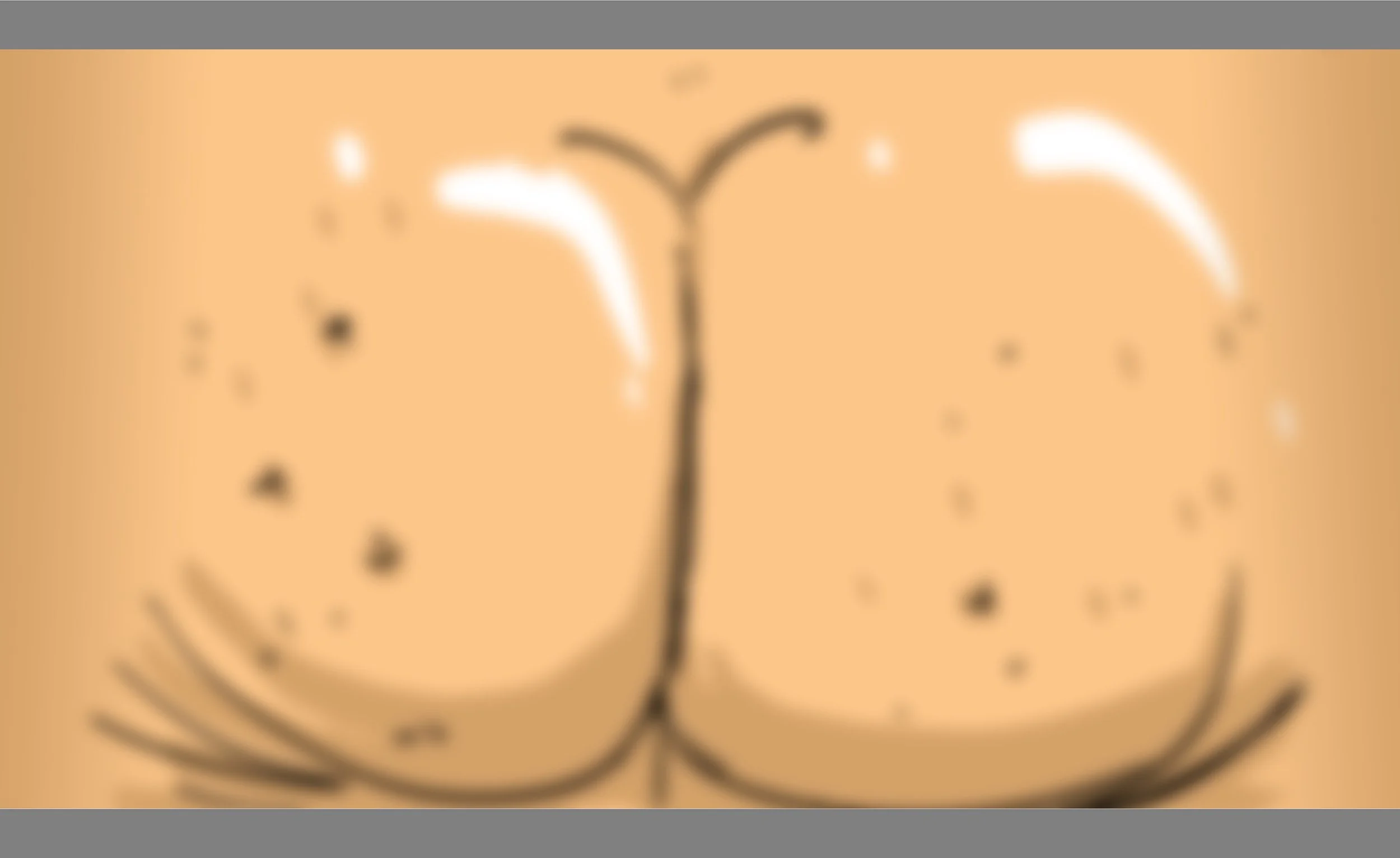 346.jpeg