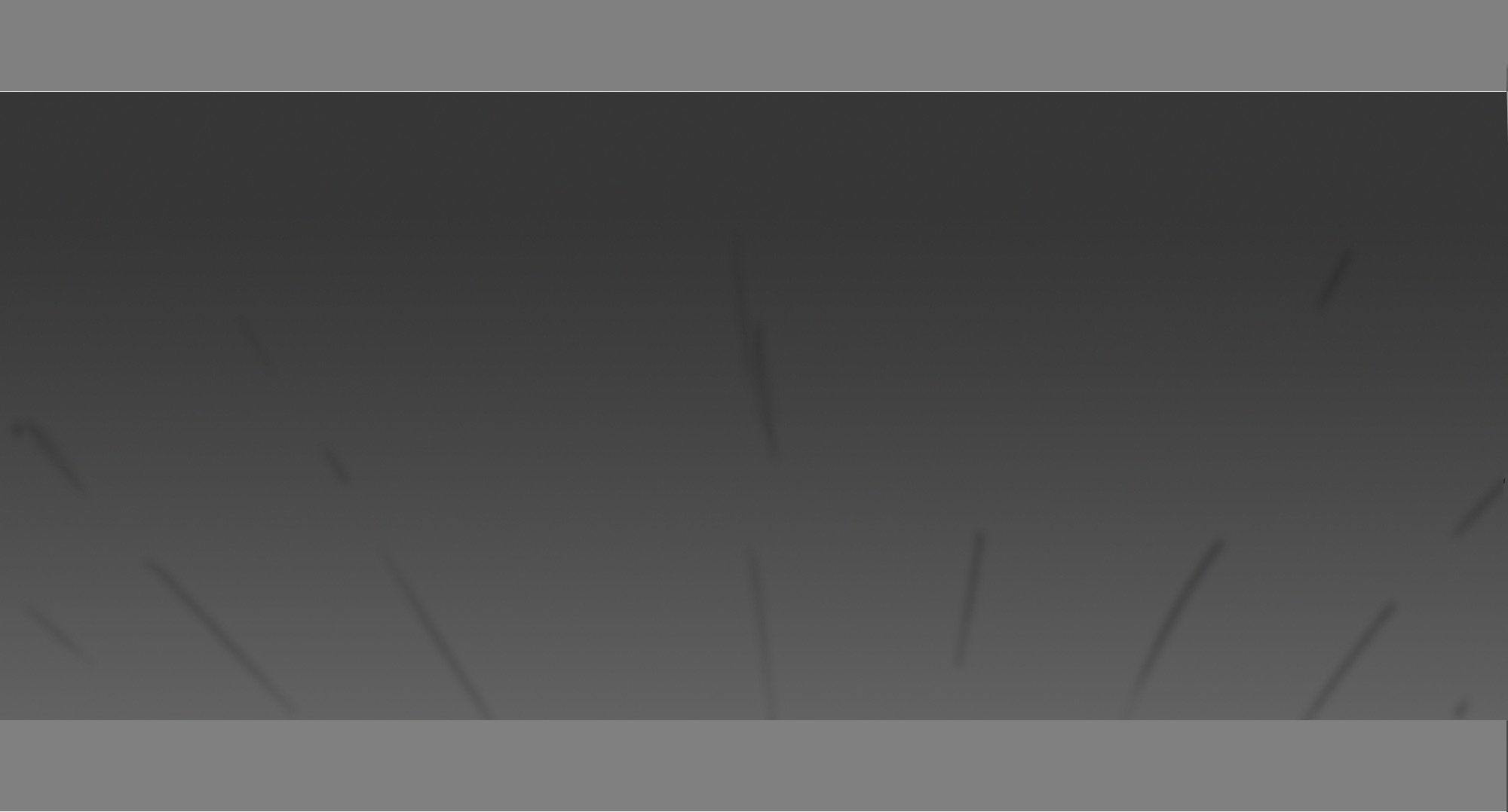 33.jpeg