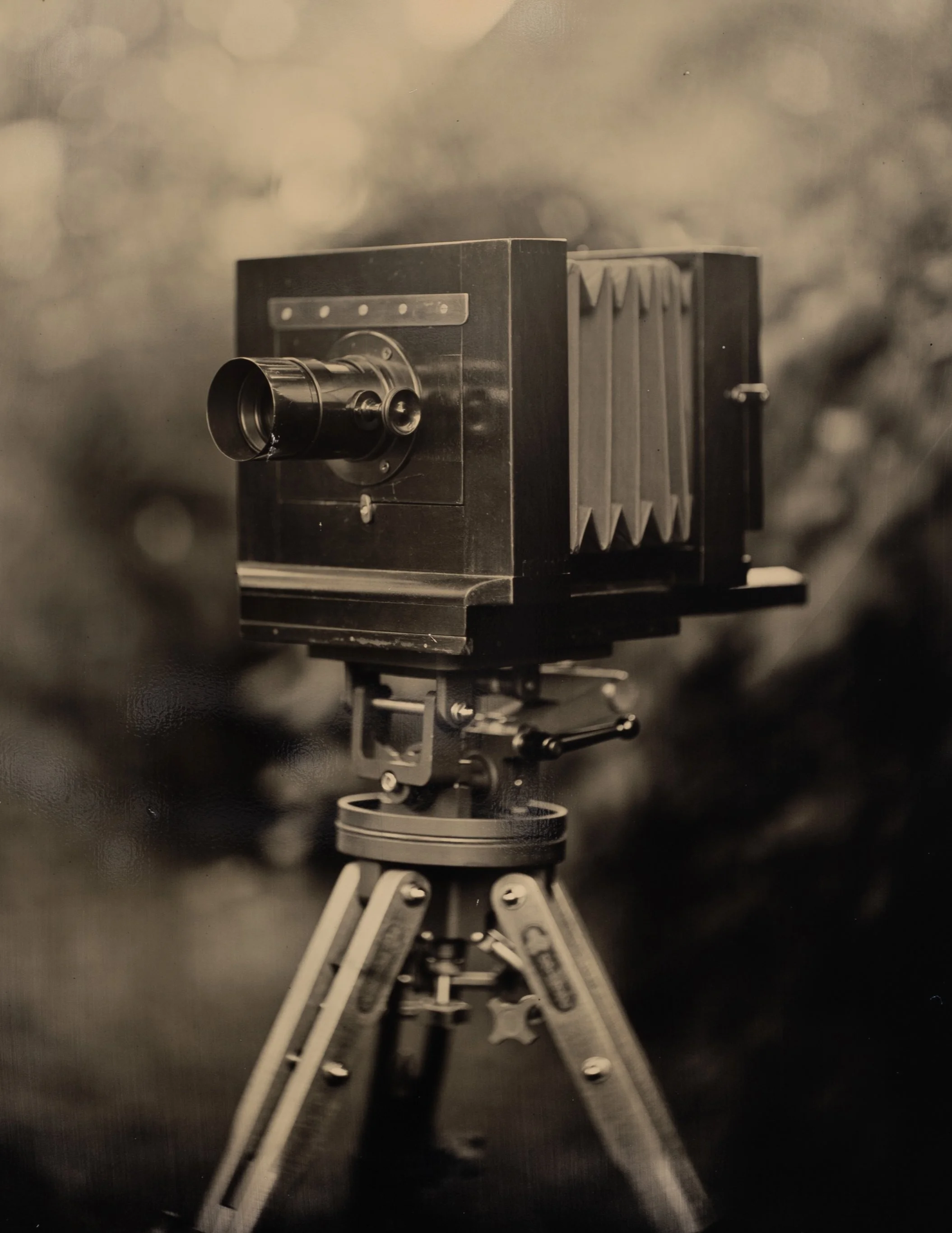 5 x 7 in. wet collodion aluminotype, 2023