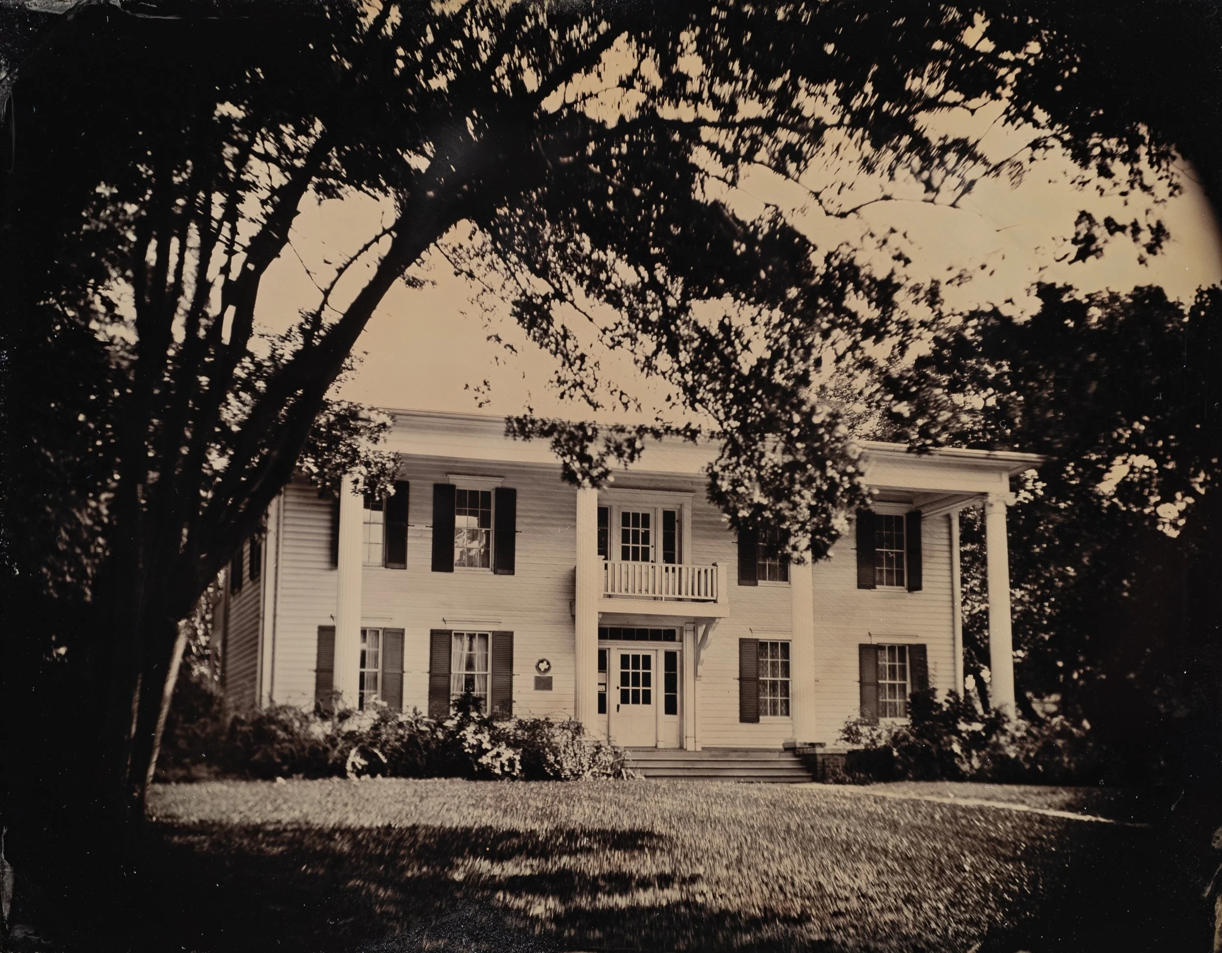 Half plate (4.25 x 5.5 in.) wet collodion aluminotype, 2020