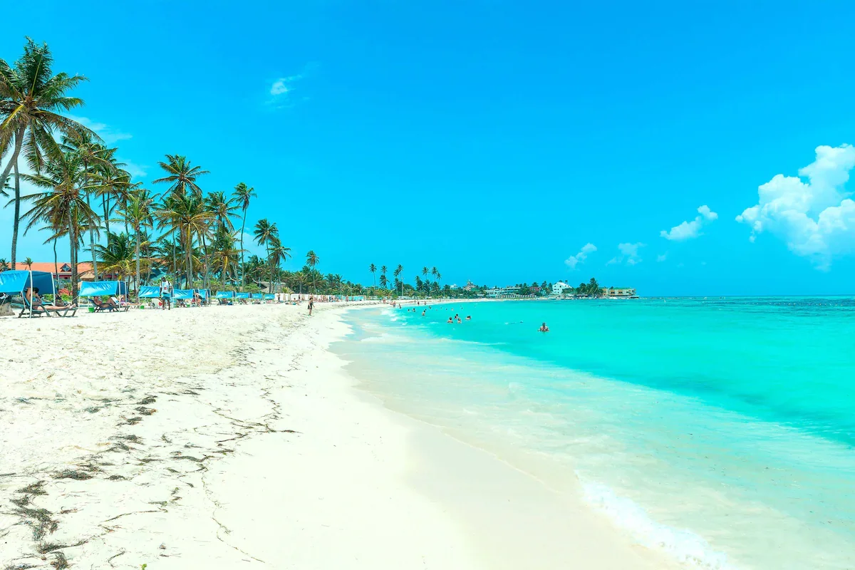 603b30c6.webp