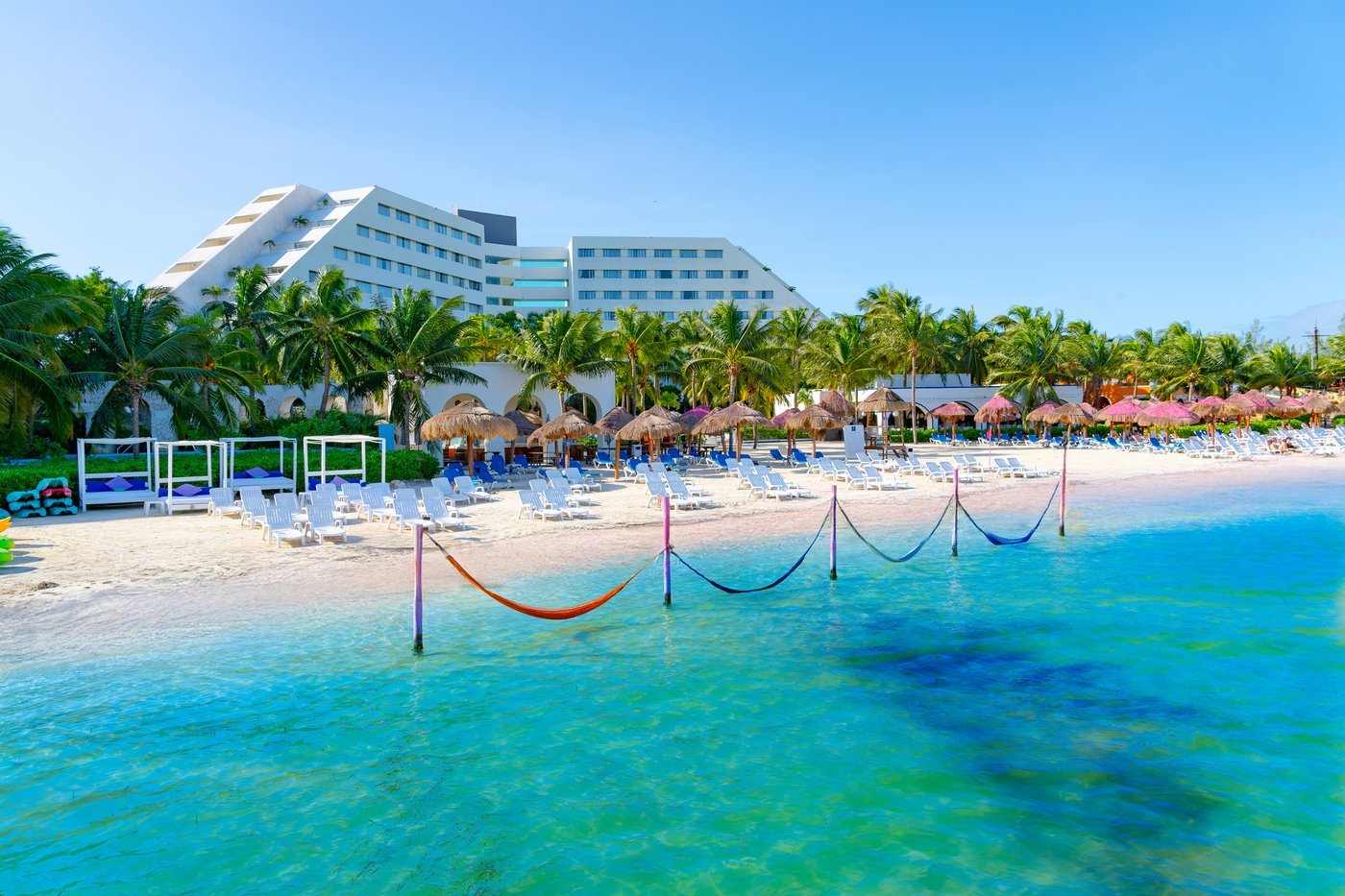 Grand Oasis Palm