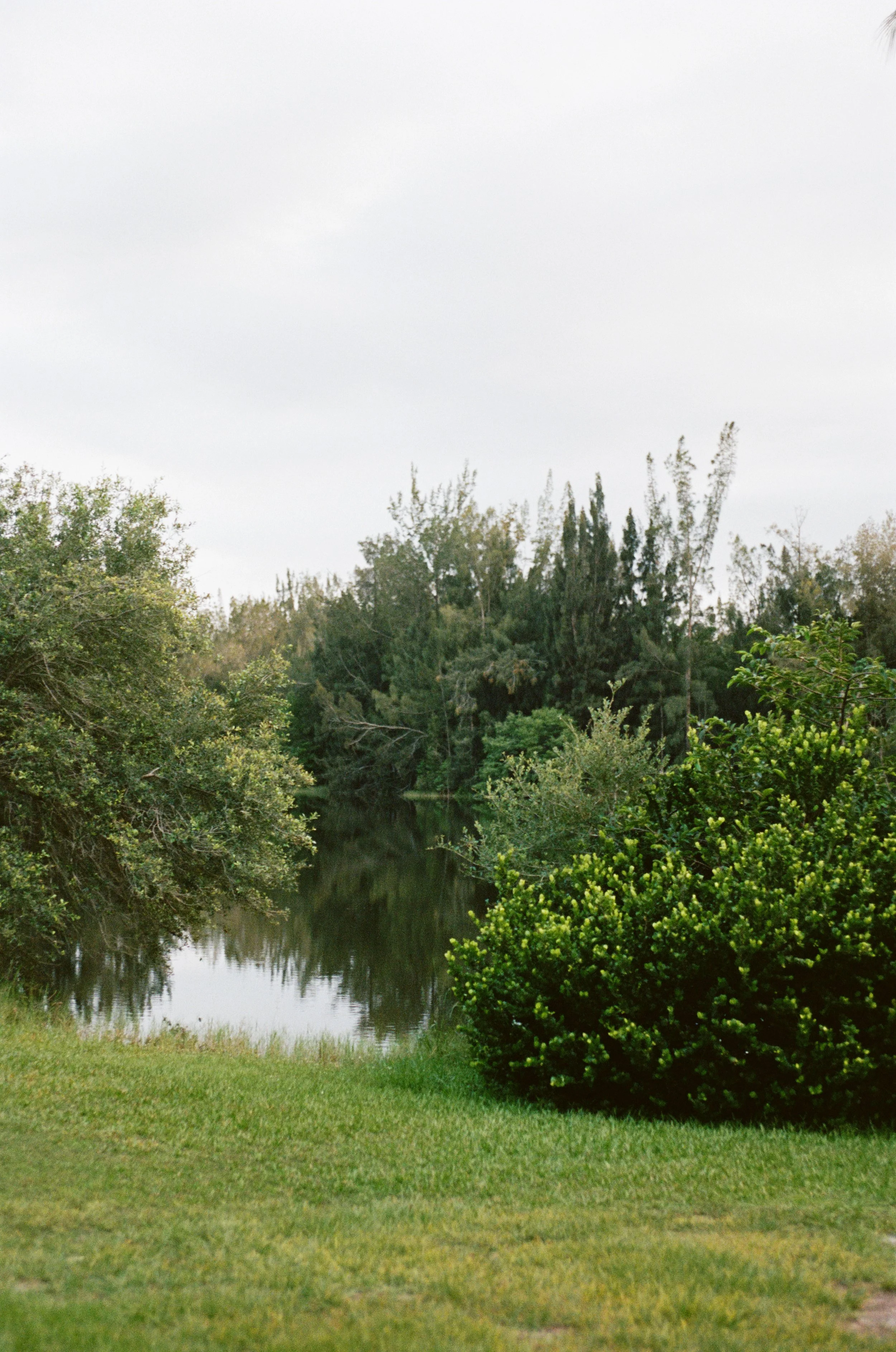 Sama_Photography_KJMSF-000367710016.jpg