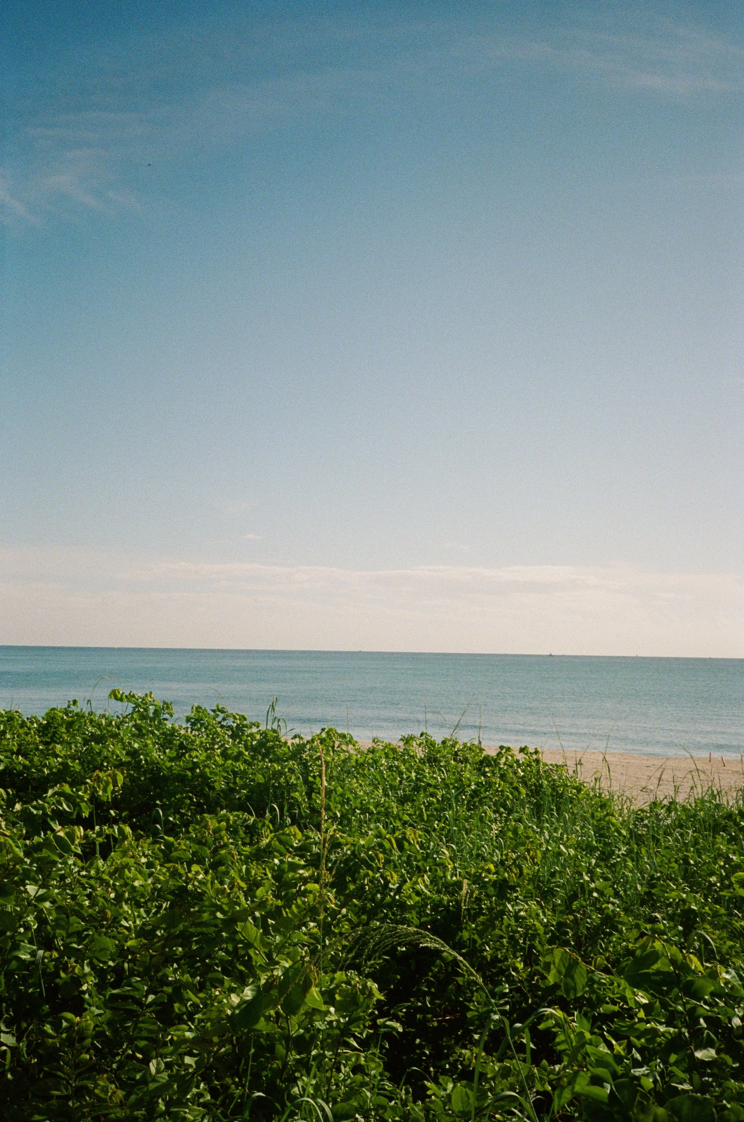 Sama_Photography_BBM-000449220035.jpg