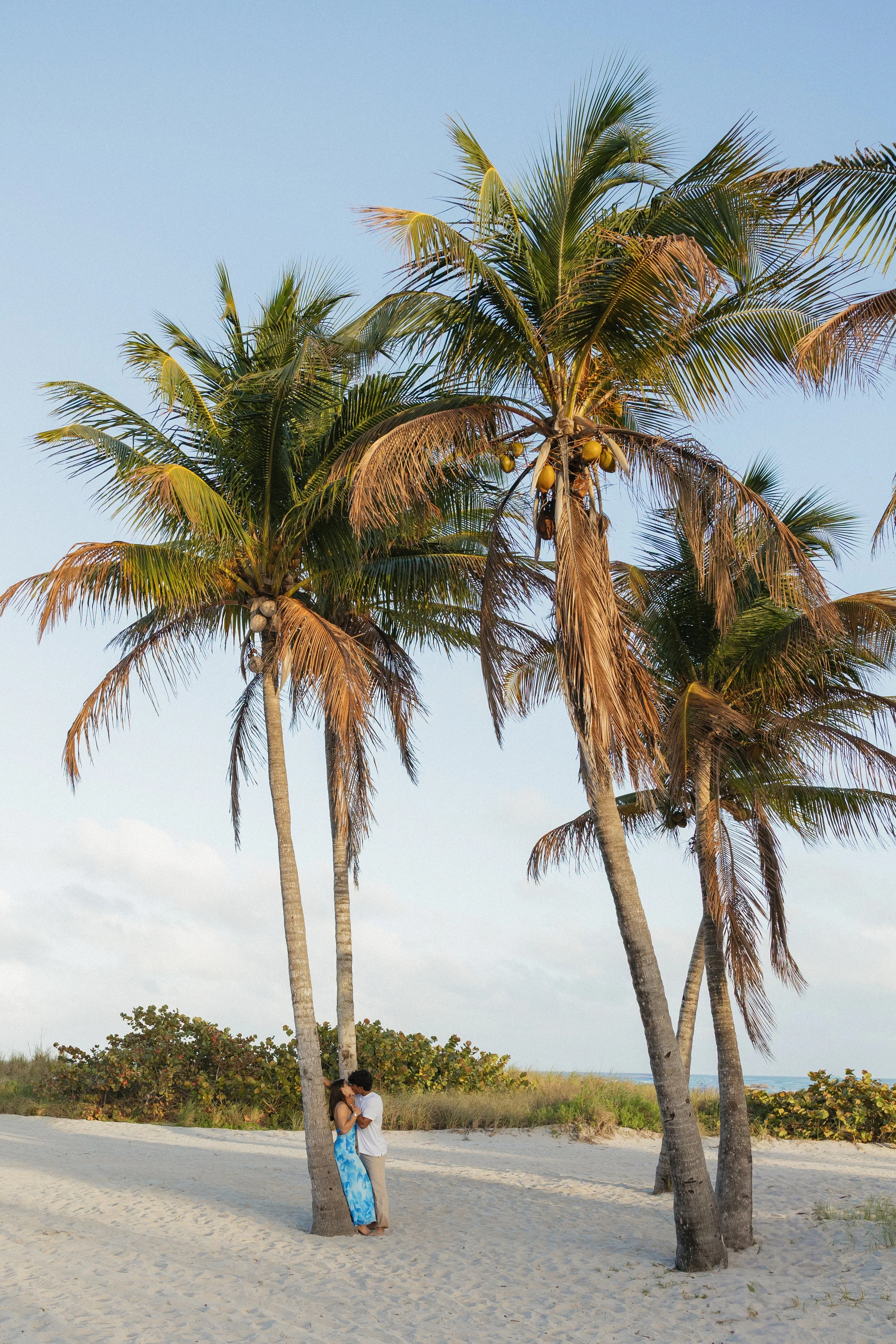 A couple stands close and kisses under palm trees on a sandy beach, with bushes, sand dunes, and the ocean in the background.