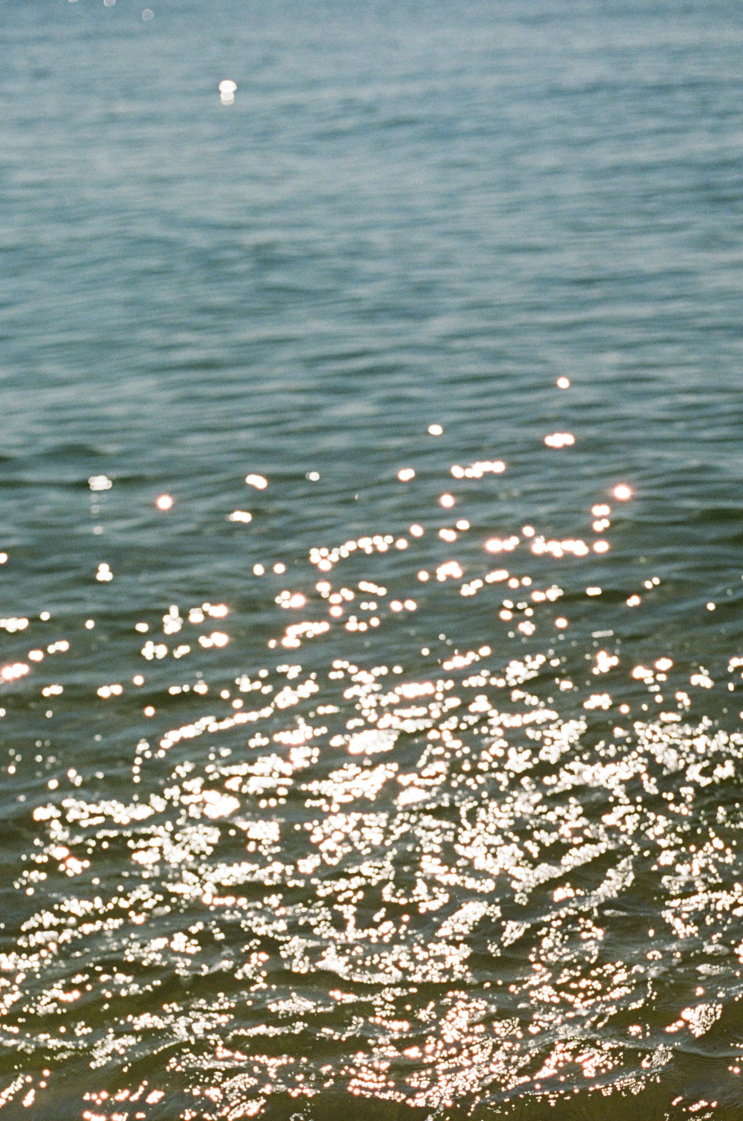 Sunlight reflecting on the surface of a body of water, creating sparkles and ripples.