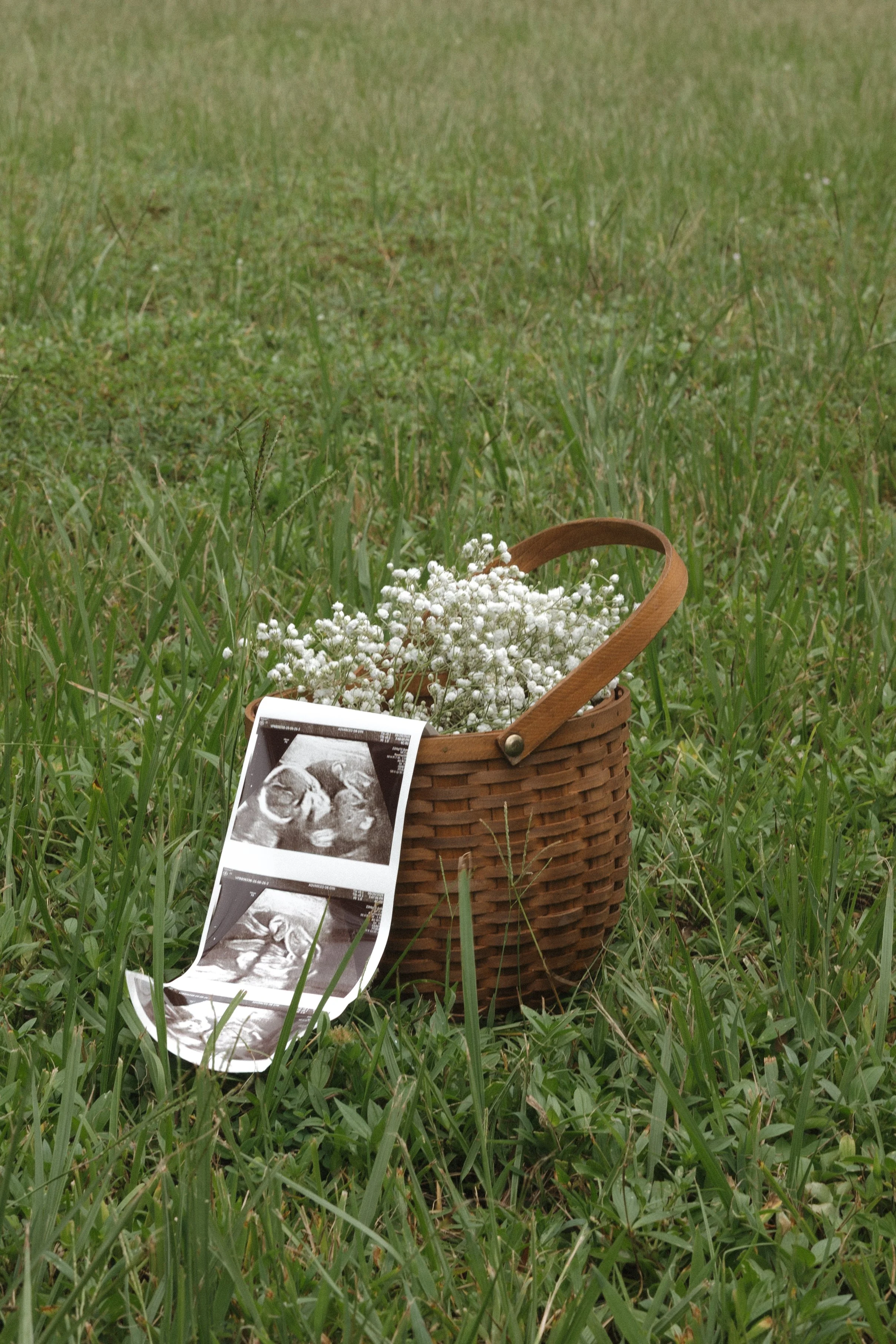 A woven basket filled with white baby's breath flowers sitting on green grass, with ultrasound images placed inside or around the basket.