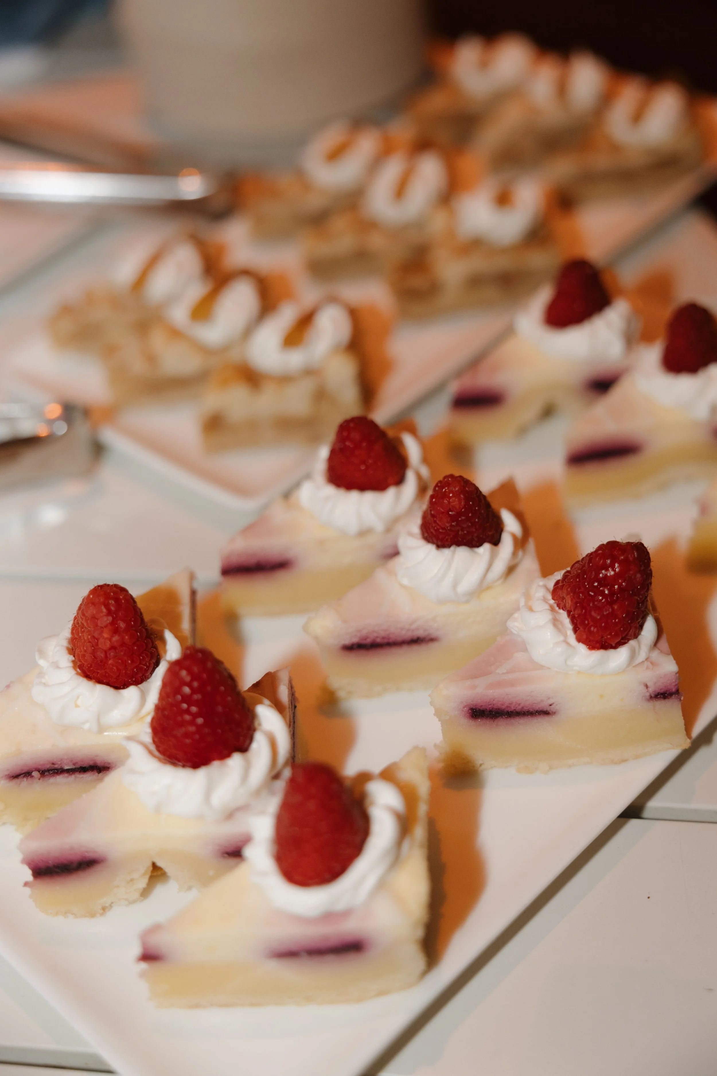 Sama_Photography_SIRCB-7425.jpg