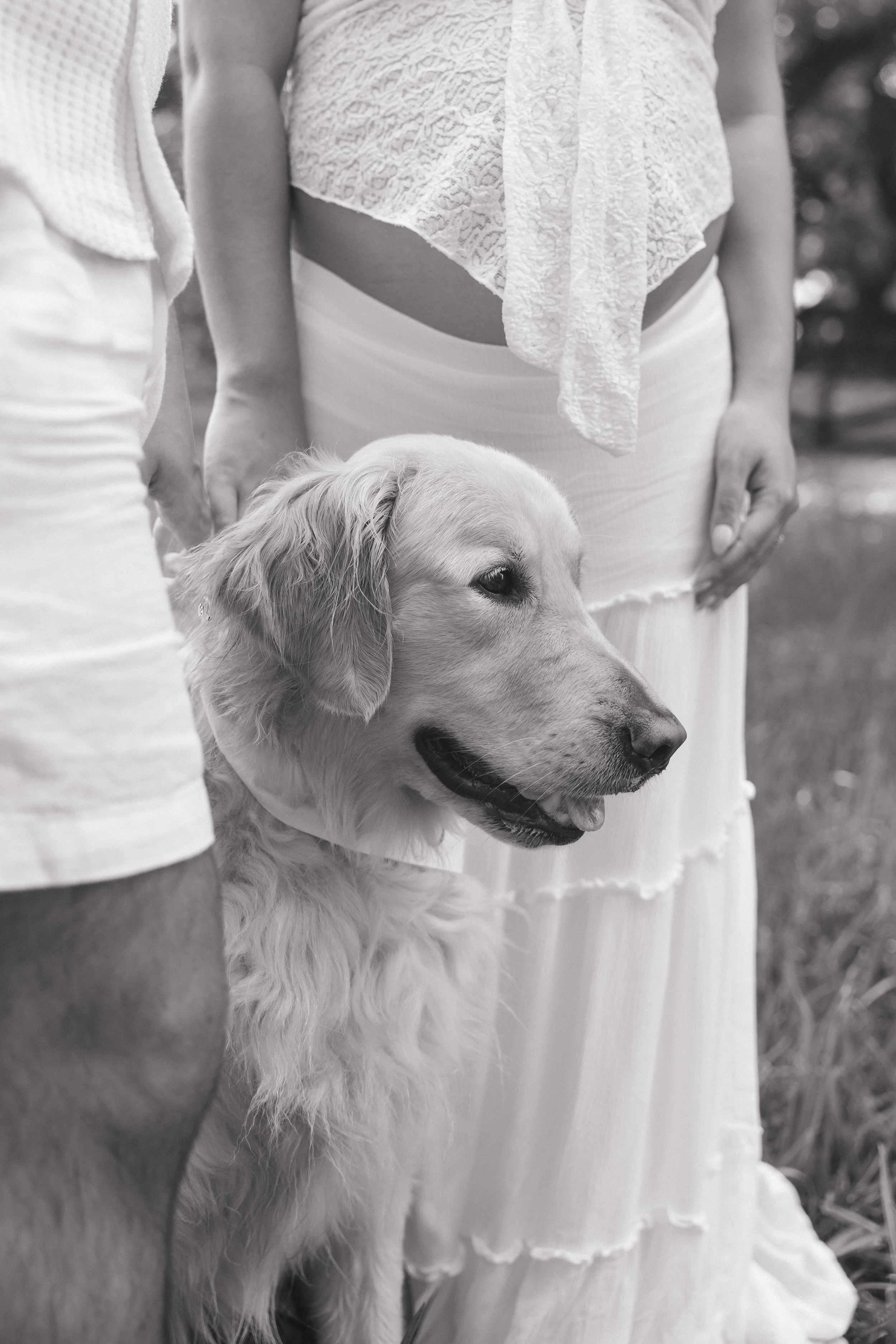 A close-up black and white photo of a woman in a lace top with a long skirt and a man in a sleeveless shirt with shorts standing outdoors, with a golden retriever dog resting its head on the woman's side.