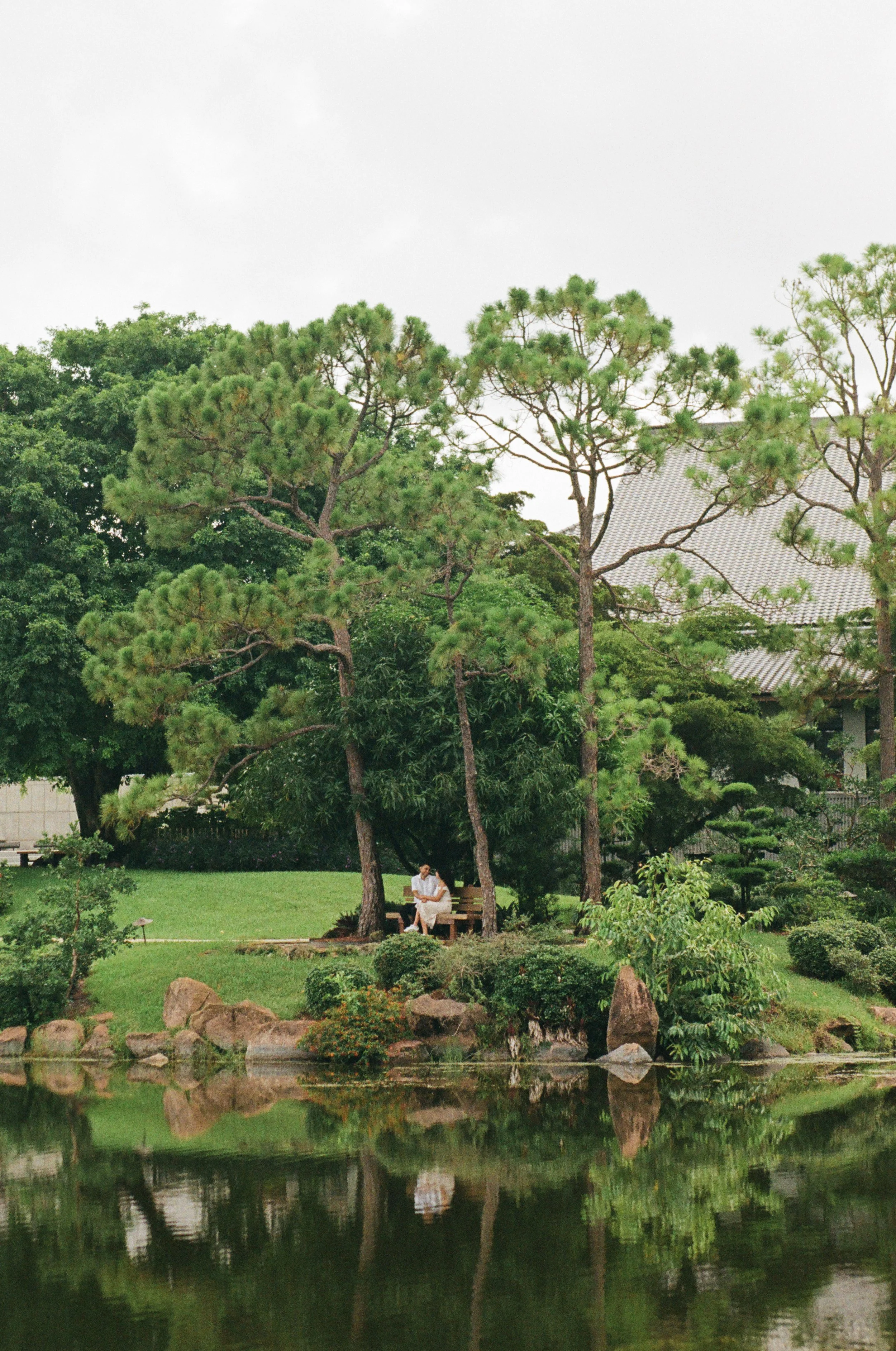 A peaceful park with tall trees, a pond at the forefront, and a woman sitting on a bench under the trees.