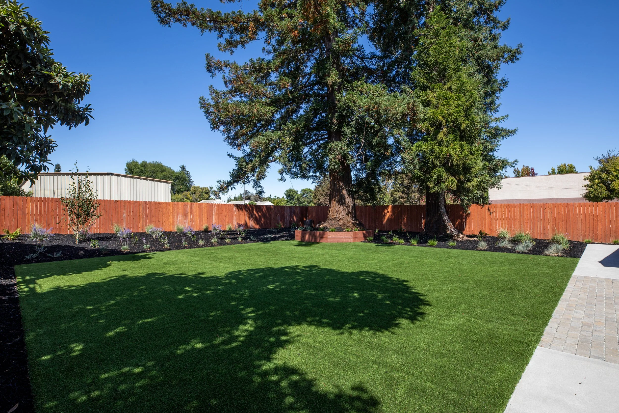 33-SanRafael_Matt_Anello-7421-MLS.jpg