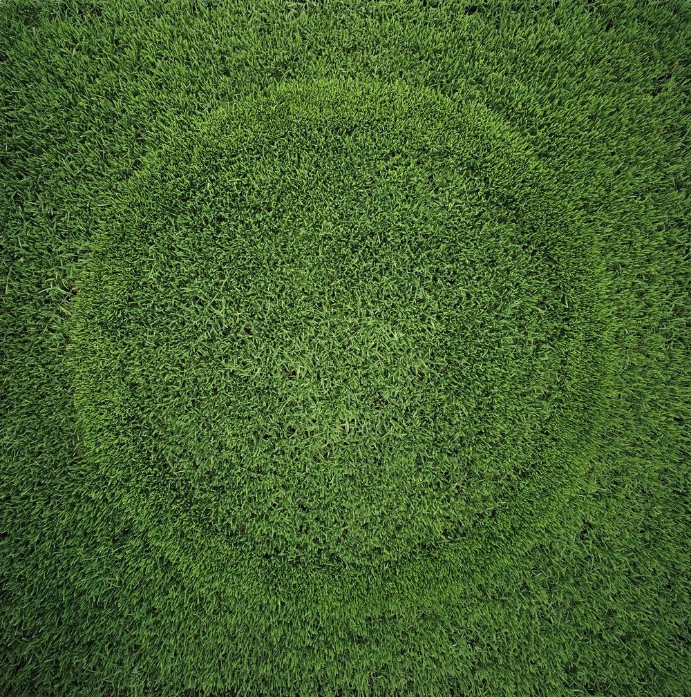 Grass Circle II, 2006
Digital Print Mounted on Diasec
Dimensions Variable

Círculo de Pasto ll, 2006
Impresión Digital Montada en Acrílico por Emulsión (Diasec)
Dimensiones Variables