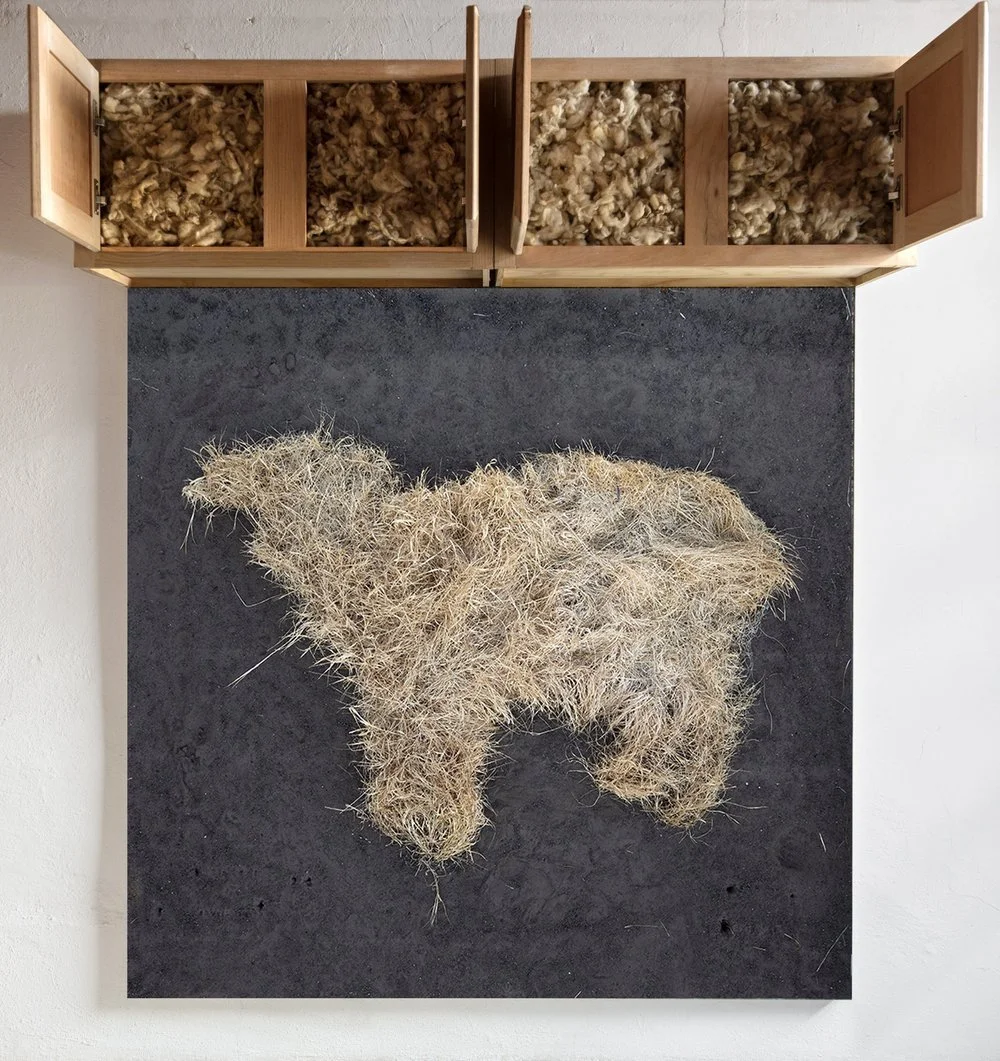 Borrego Seco, 2023
150 x 225 cm