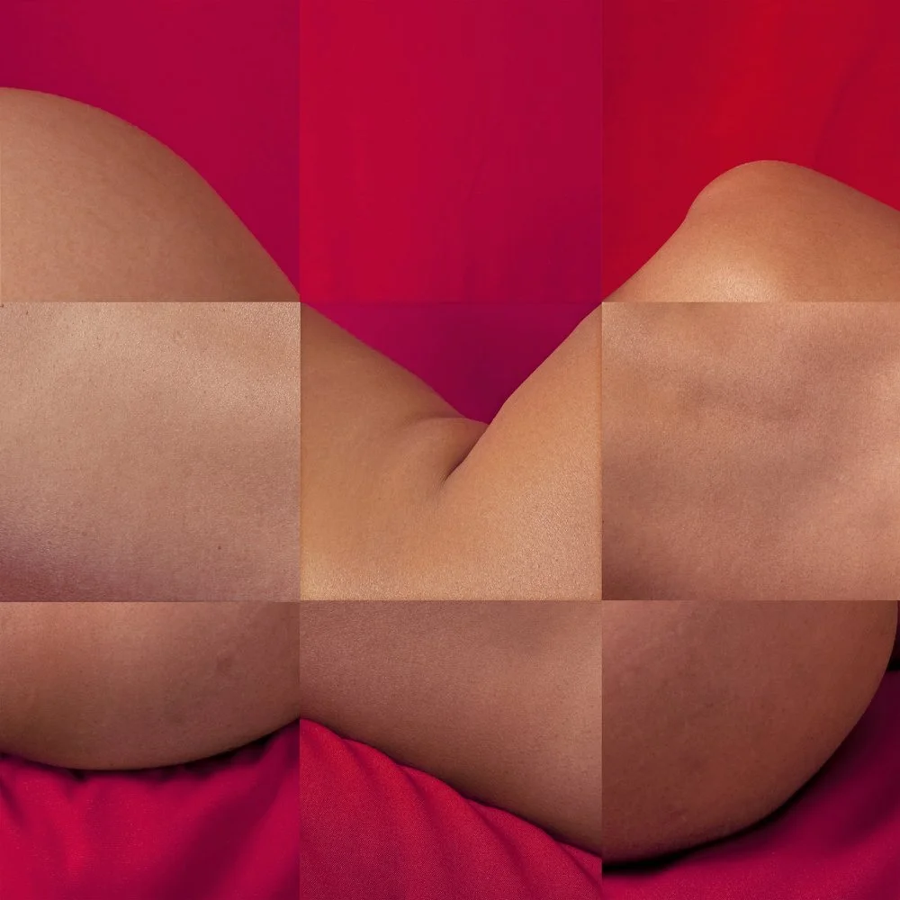 Venus’ Back, 2009
Digital Prints Mounted on Diasec
96” x 96”
Espalda de Venus, 2009
Impresión Digital Montada en Acrílico por Emulsión (Diasec)
244 cm x 244 cm