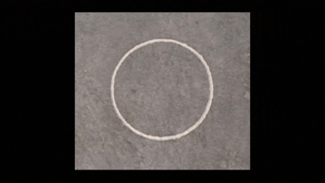 20230424_122741.gif