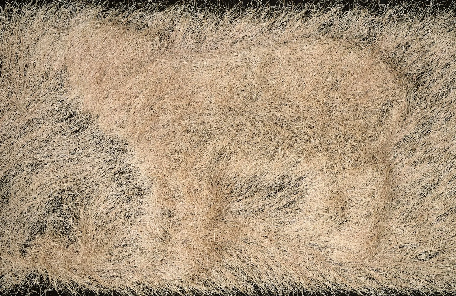 Dead Sheep, 2005
Digital Print Mounted on Diasec
Dimensions Variable

Borrego Muerta, 2005
Impresión Digital Montada en Acrílico por Emulsión (Diasec)
Dimensiones Variables