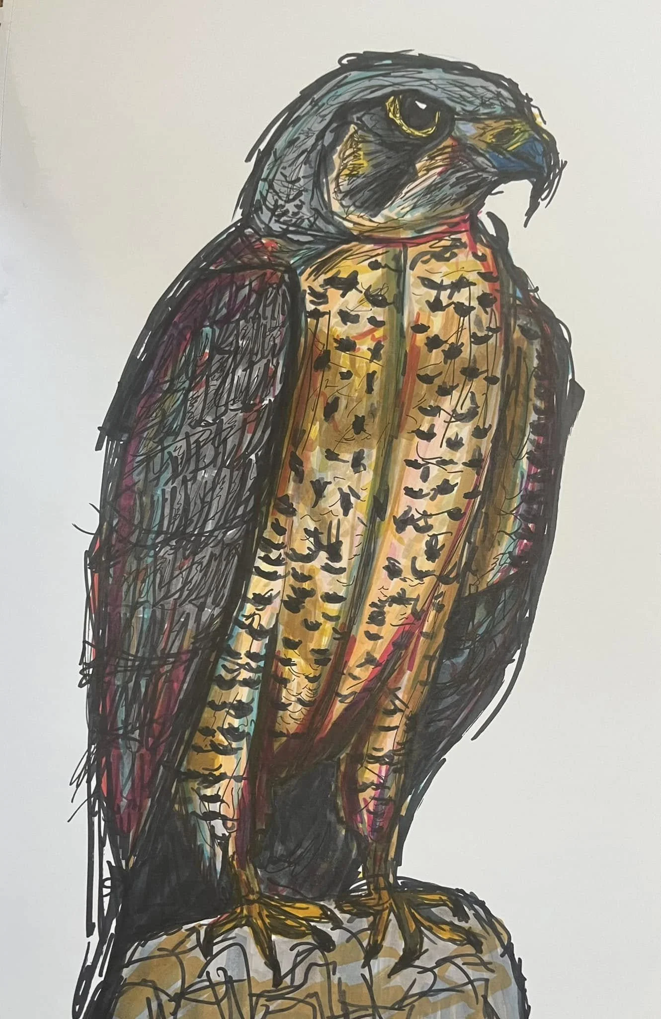 A colorful abstract drawing of a bird of prey, possibly an eagle, with detailed feathers and a sharp beak, standing on a textured perch.