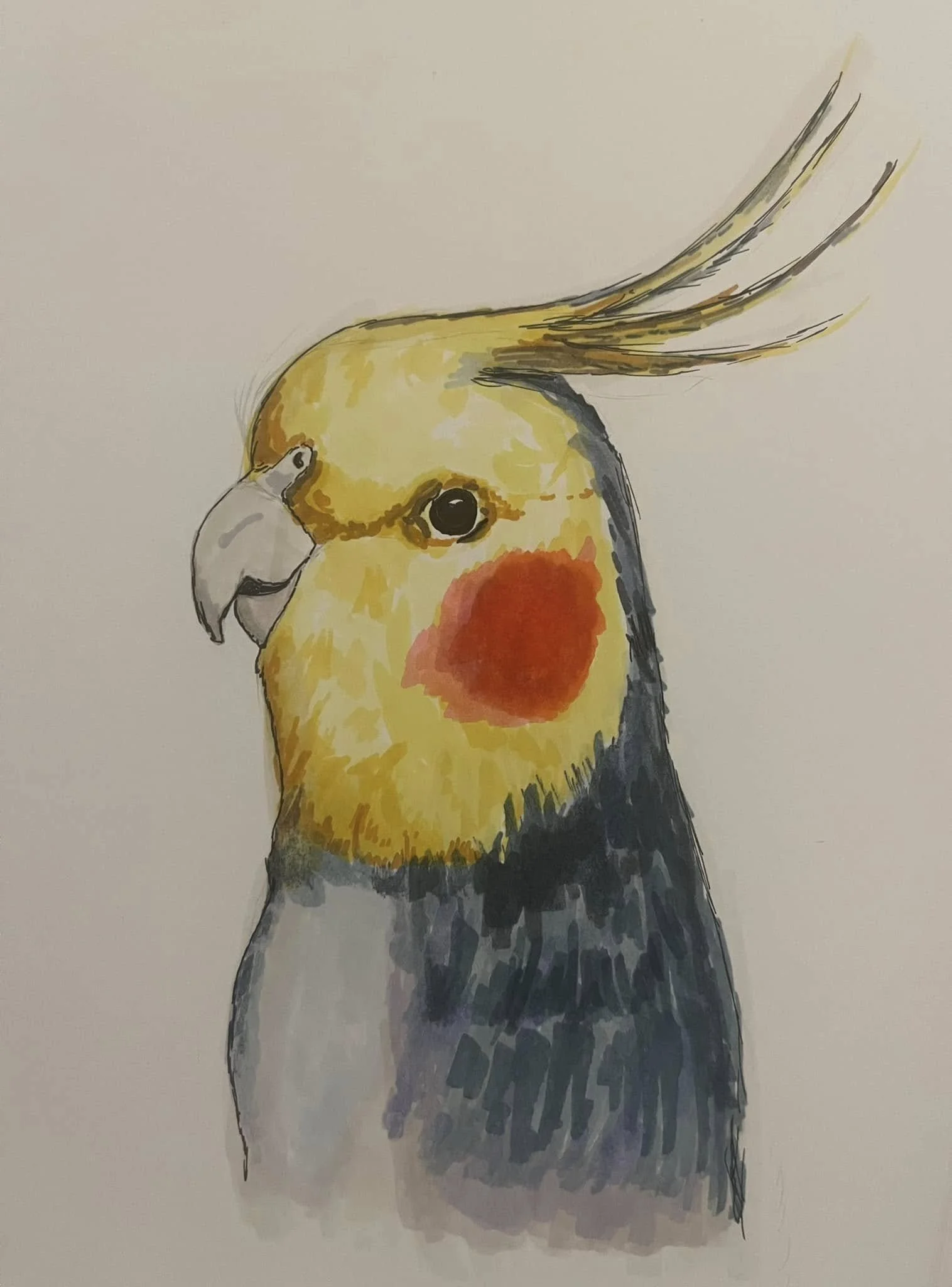 A watercolor painting of a cockatiel bird with yellow, gray, and orange plumage, characteristic crest, and black eyes.