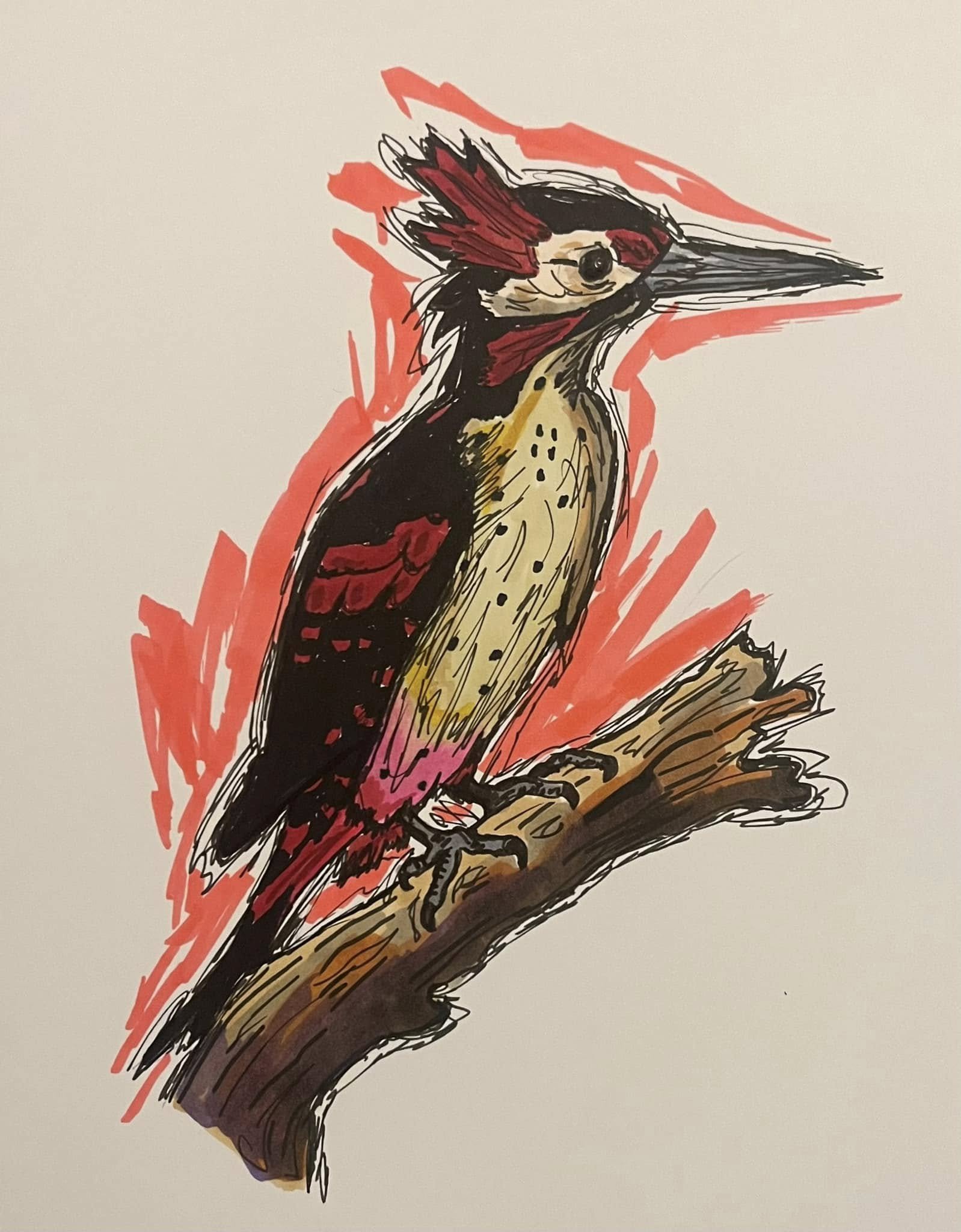 A colorful drawing of a woodpecker perched on a branch, with red and black feathers and a long beak, surrounded by red abstract strokes.