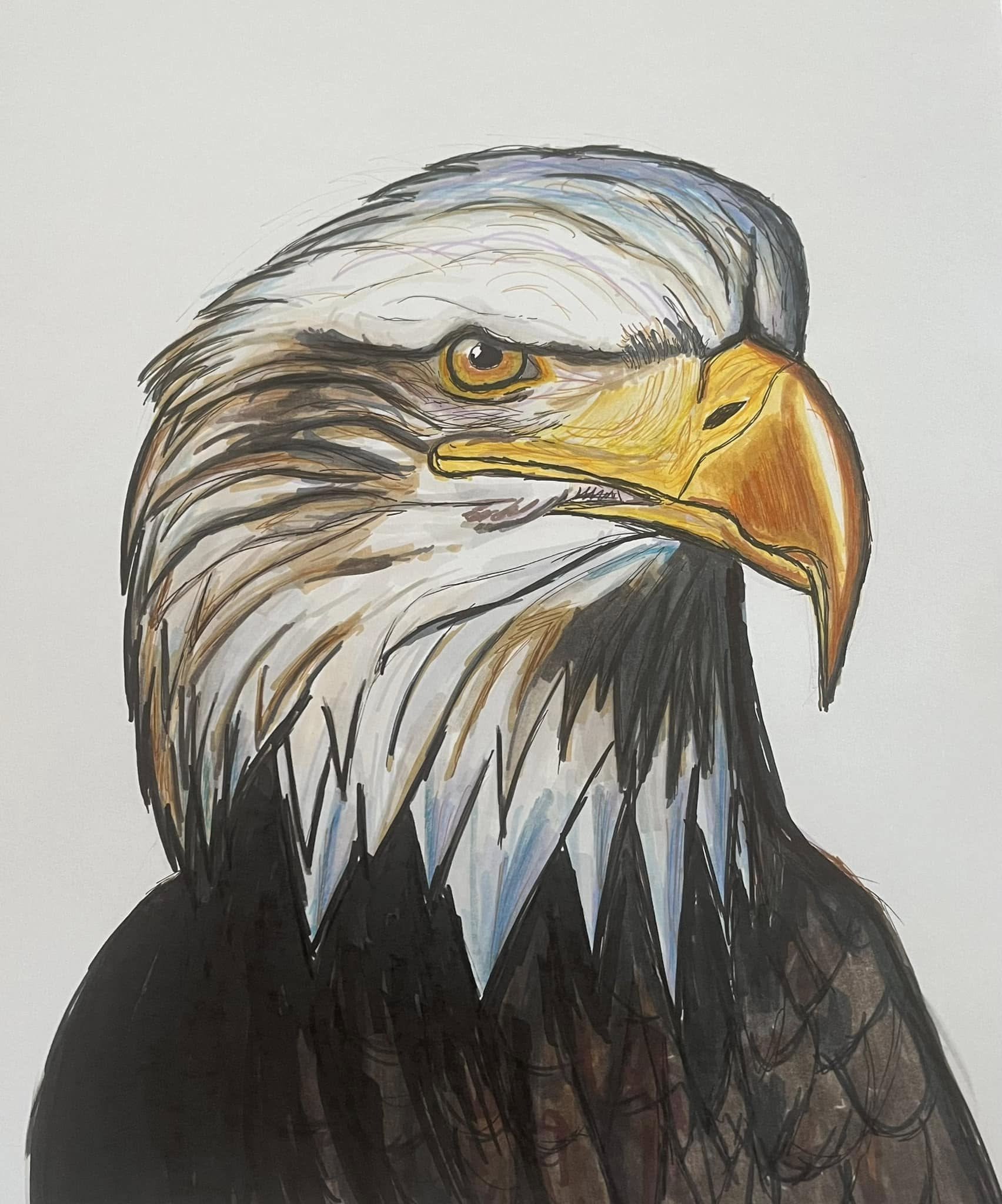 A detailed illustration of an eagle's head with white feathers on top, yellow and orange beak, sharp eye, and black feathers on the neck against a plain background.