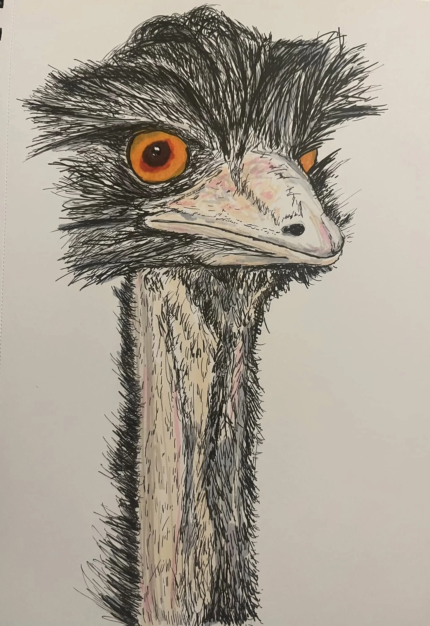 Drawing of an emu's face, featuring large orange eyes, a pale pink beak, and black and white feather details.