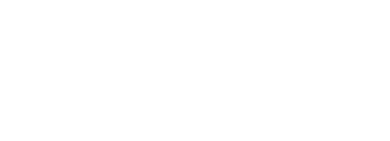 Border Visuals