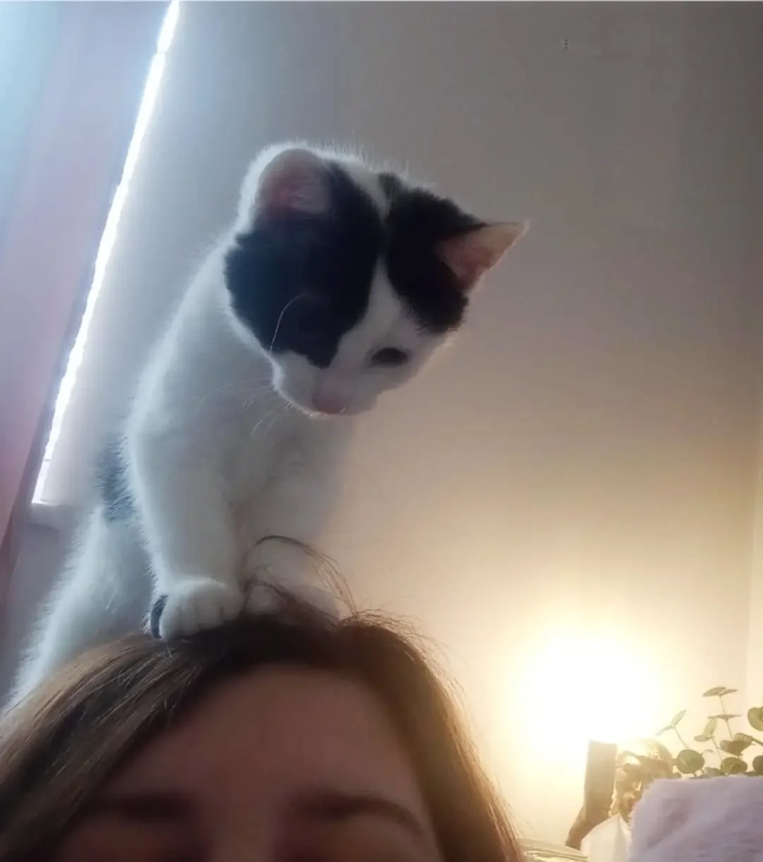 The CUTEST alarm clock! 💛💛