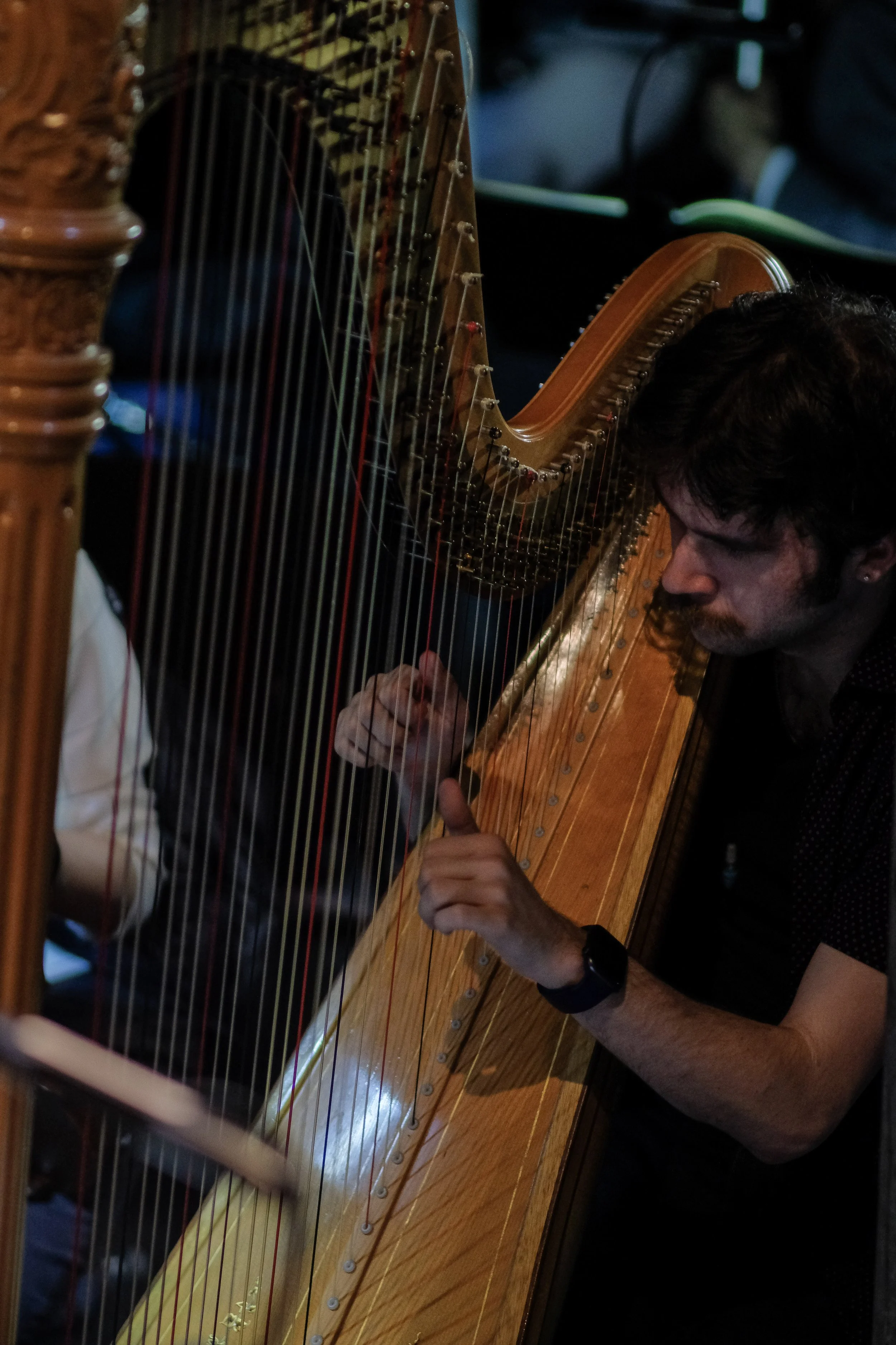 Harp Portfolio