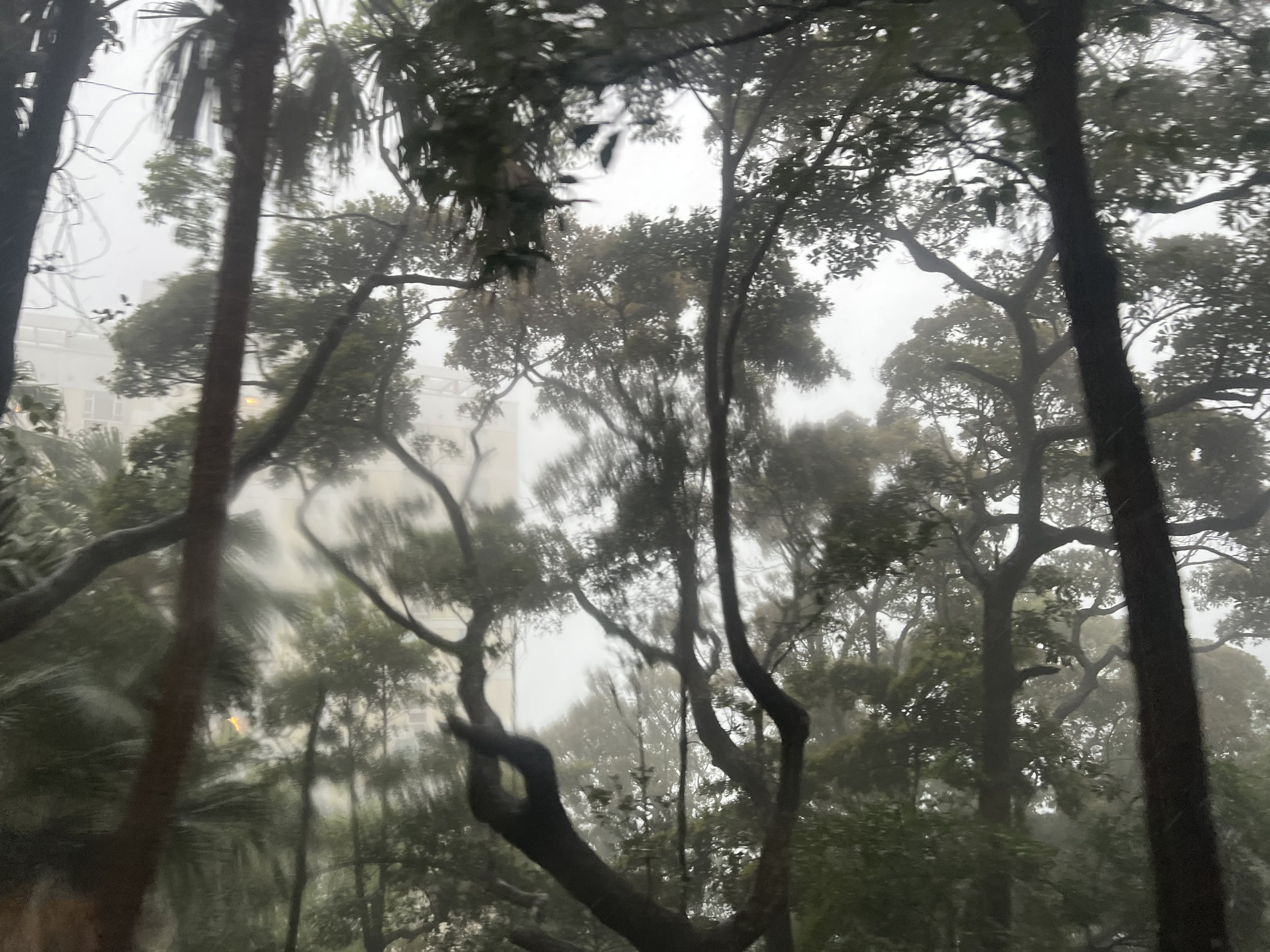 On Humidity/Humility