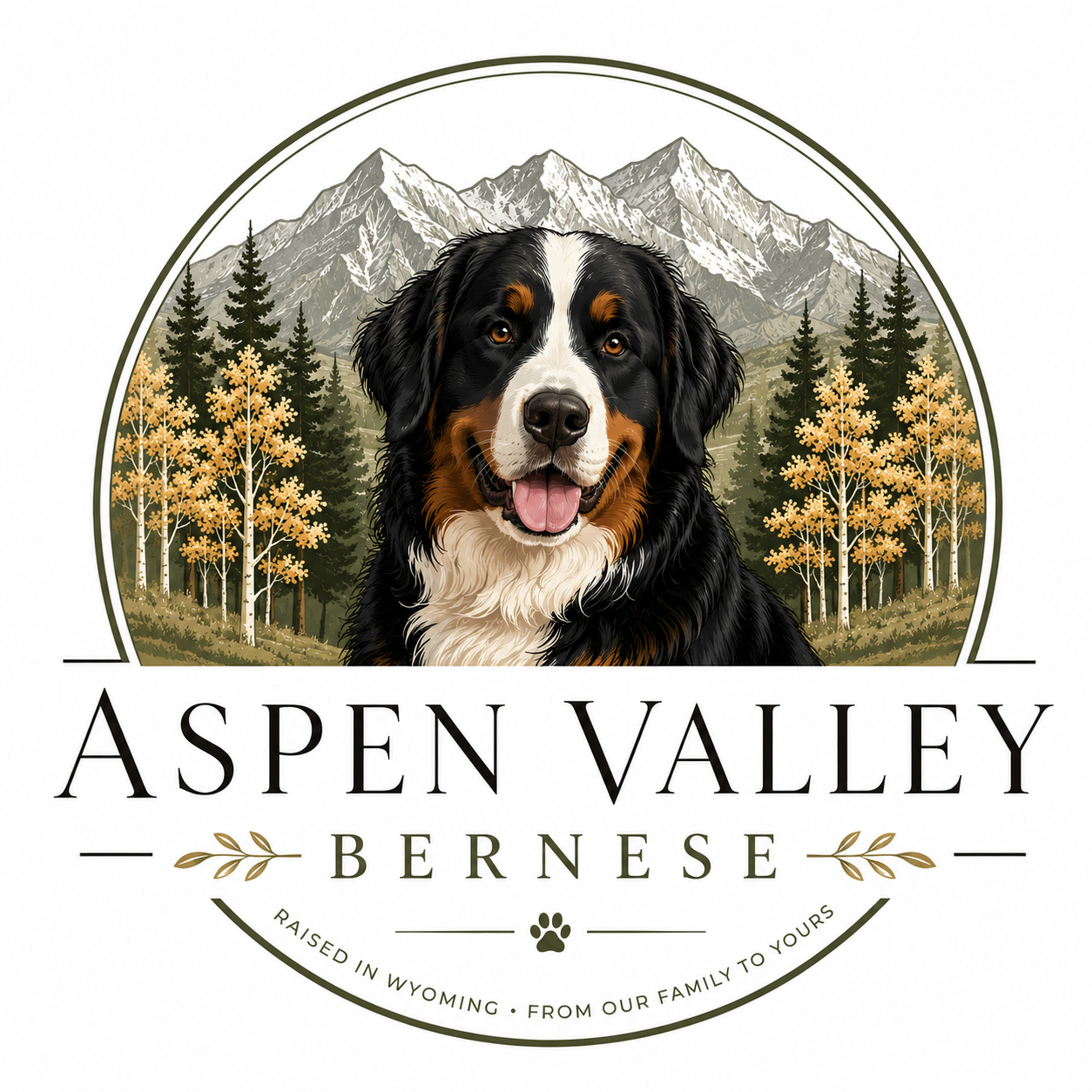 Aspen Valley Bernese