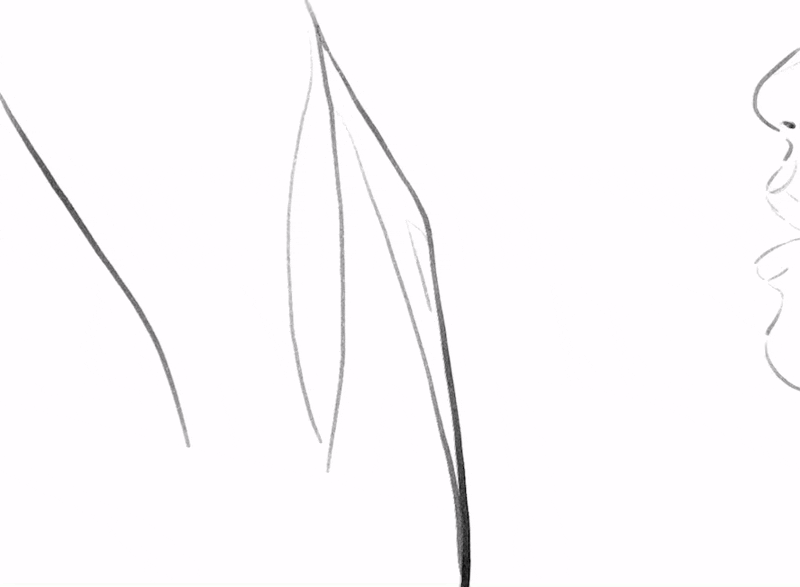 E1168C79-8314-466B-A5CC-F3E257404F7A.gif