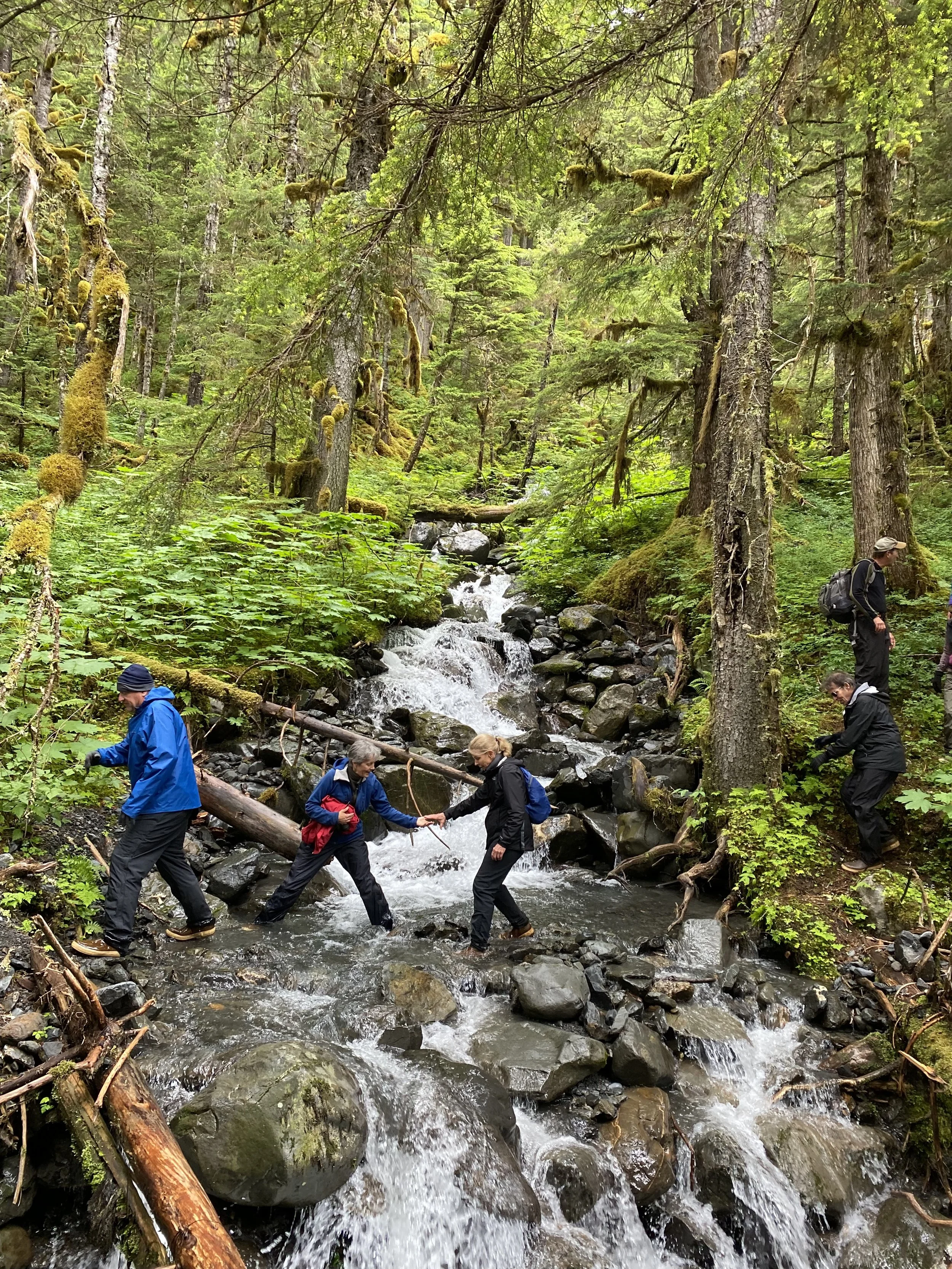 Group of adults hiking across a forest stream.