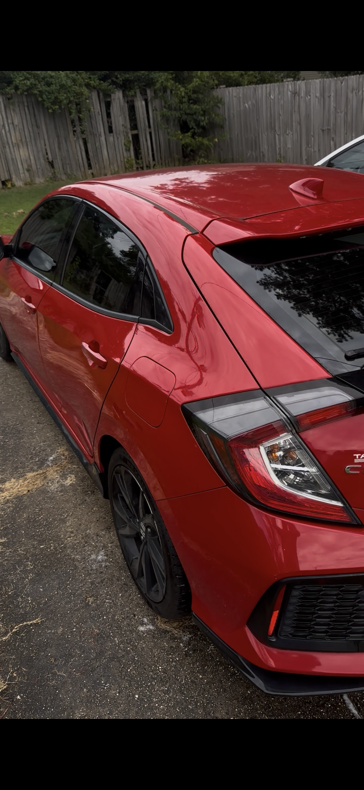 Red Toyota Prius parked on a parking lot with a wooden fence and green bushes in the background.
